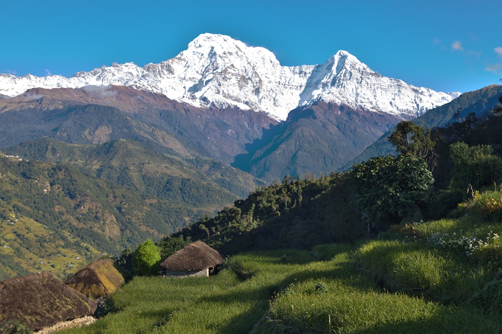 green grass field near snow covered mountain during daytime