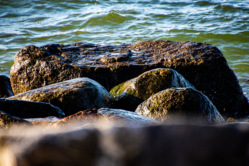 brown rocks on body of water