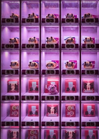 A grid of illuminated vending machine compartments contains a selection of colorful figurines and boxes. Each compartment is numbered from 01 to 25 and features lighting that emits a pinkish glow. The top row contains pug-looking figurines, while other rows display small red boxes with Chinese characters and some featuring a small dragon figurine.