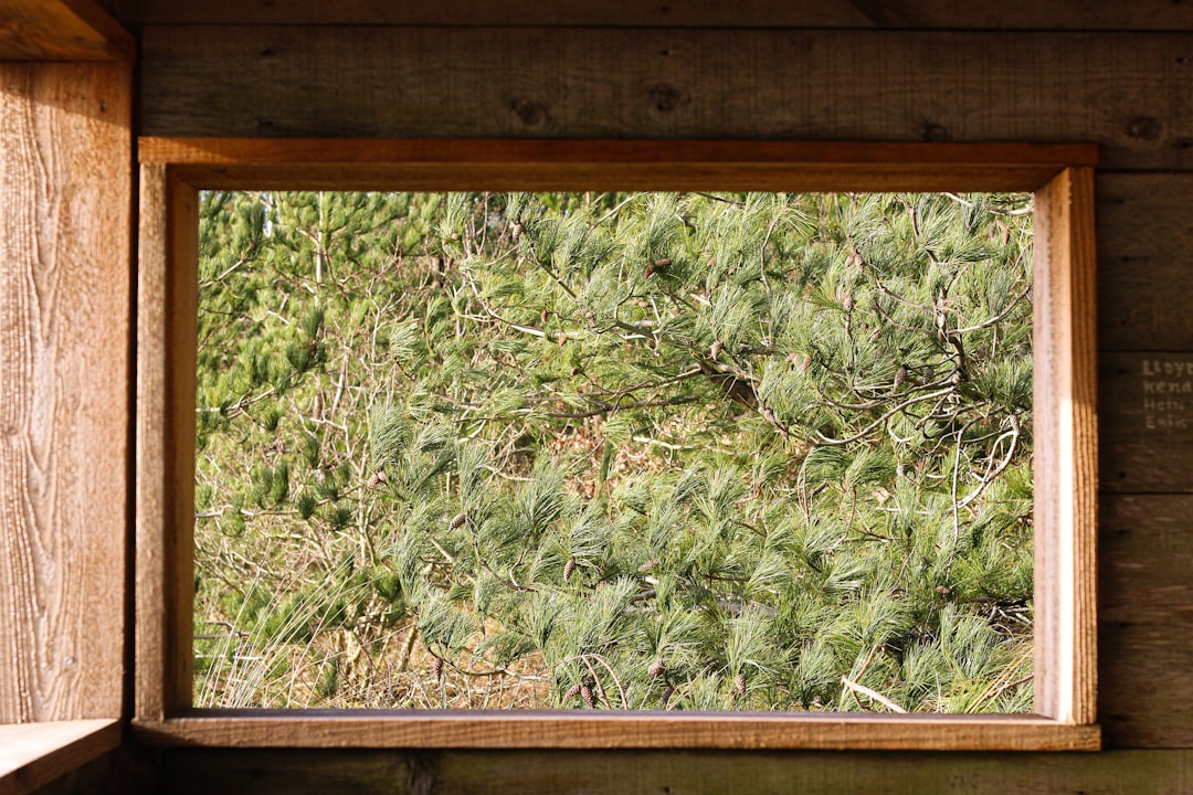 green plants on brown wooden frame