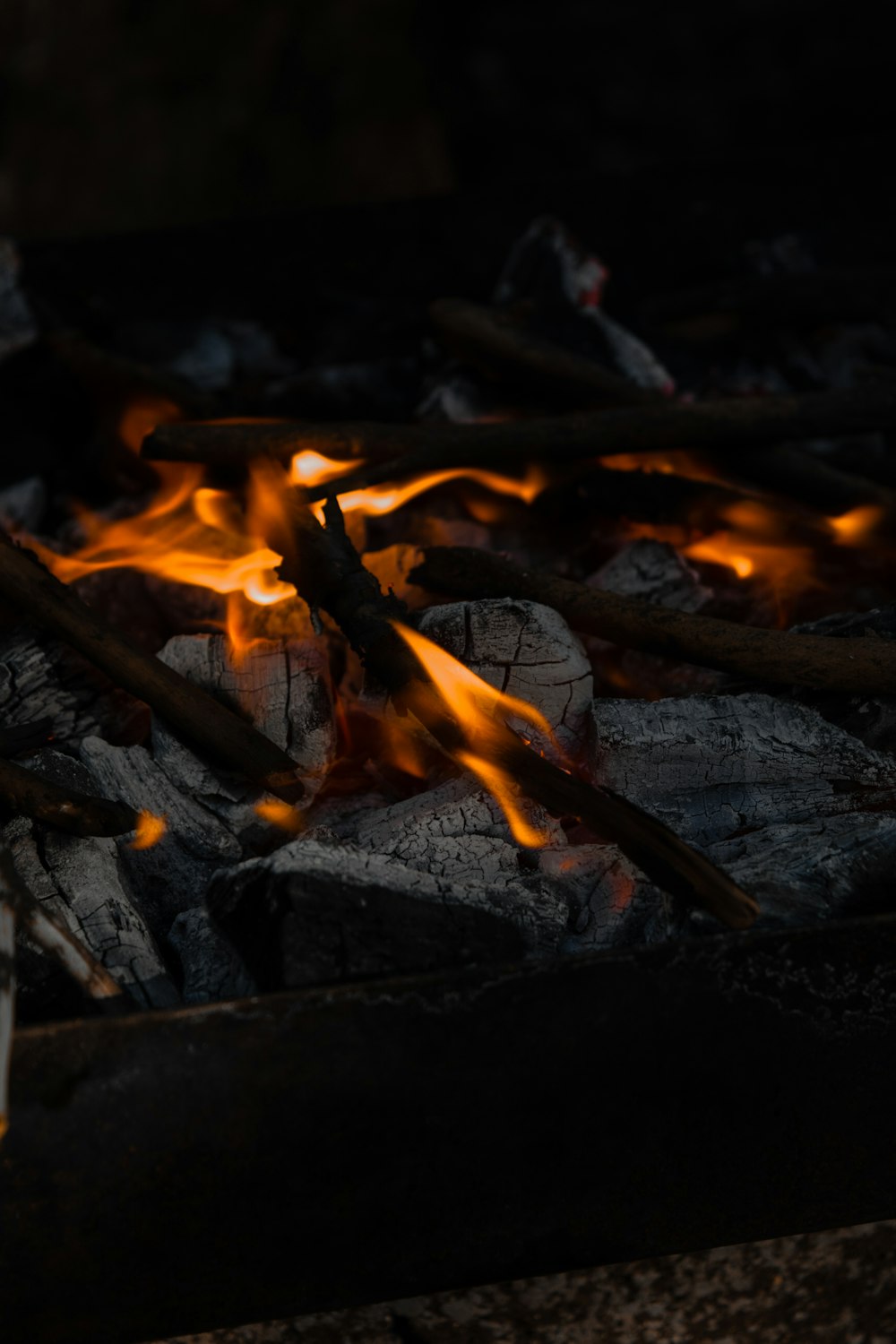 burning woods on fire during night time