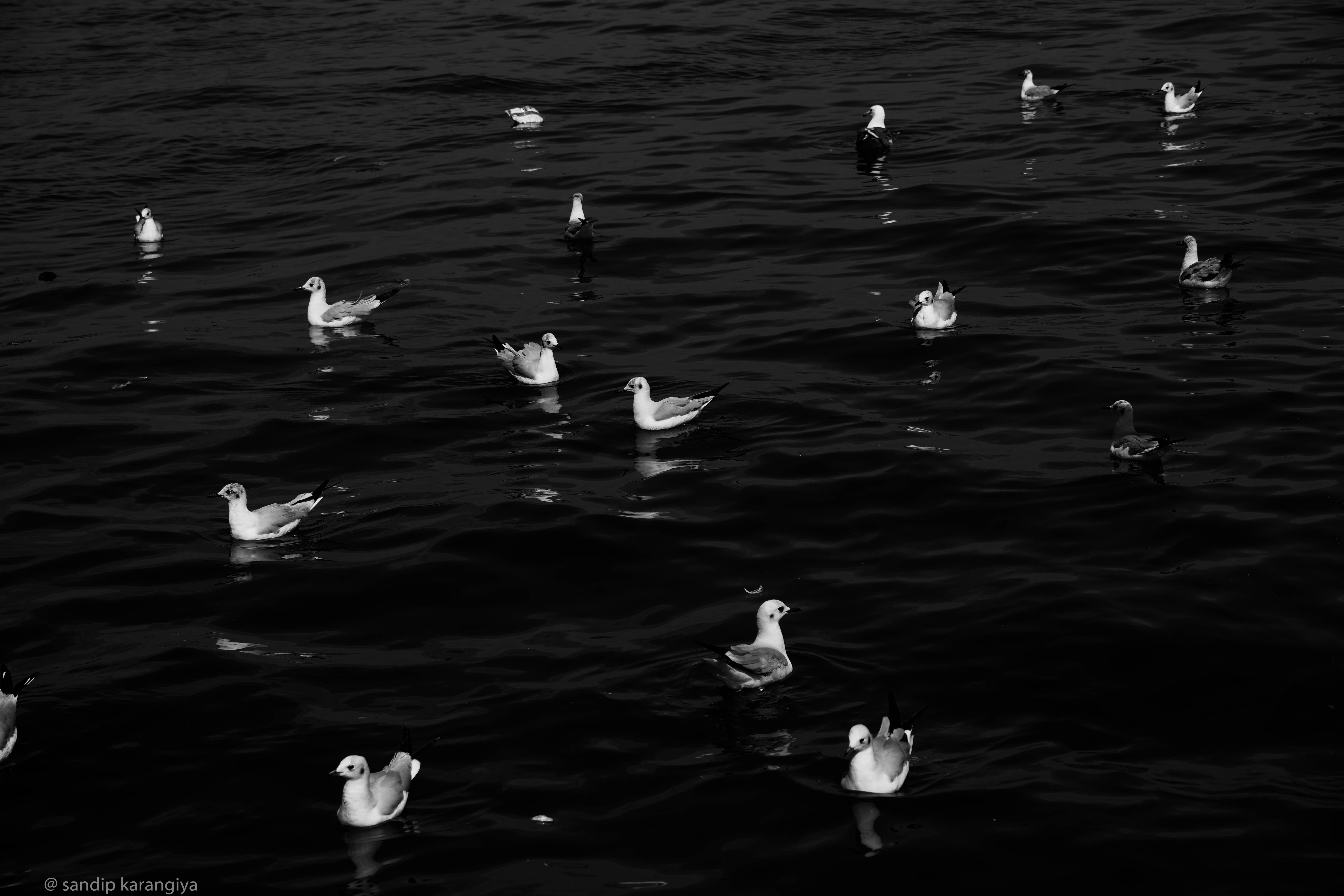 Photo by mr_karangia