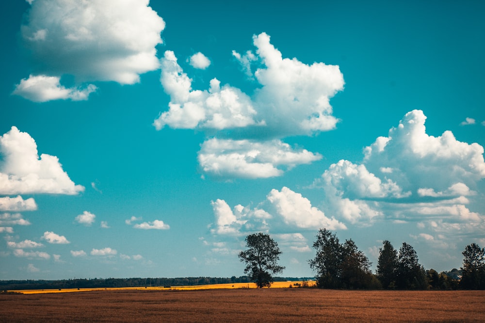 green trees under blue sky and white clouds during daytime