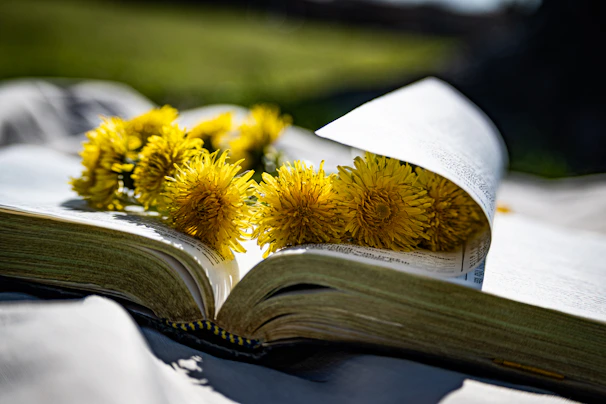 Bright wildflower seeds scattered on an open page of the book, ready to be planted.