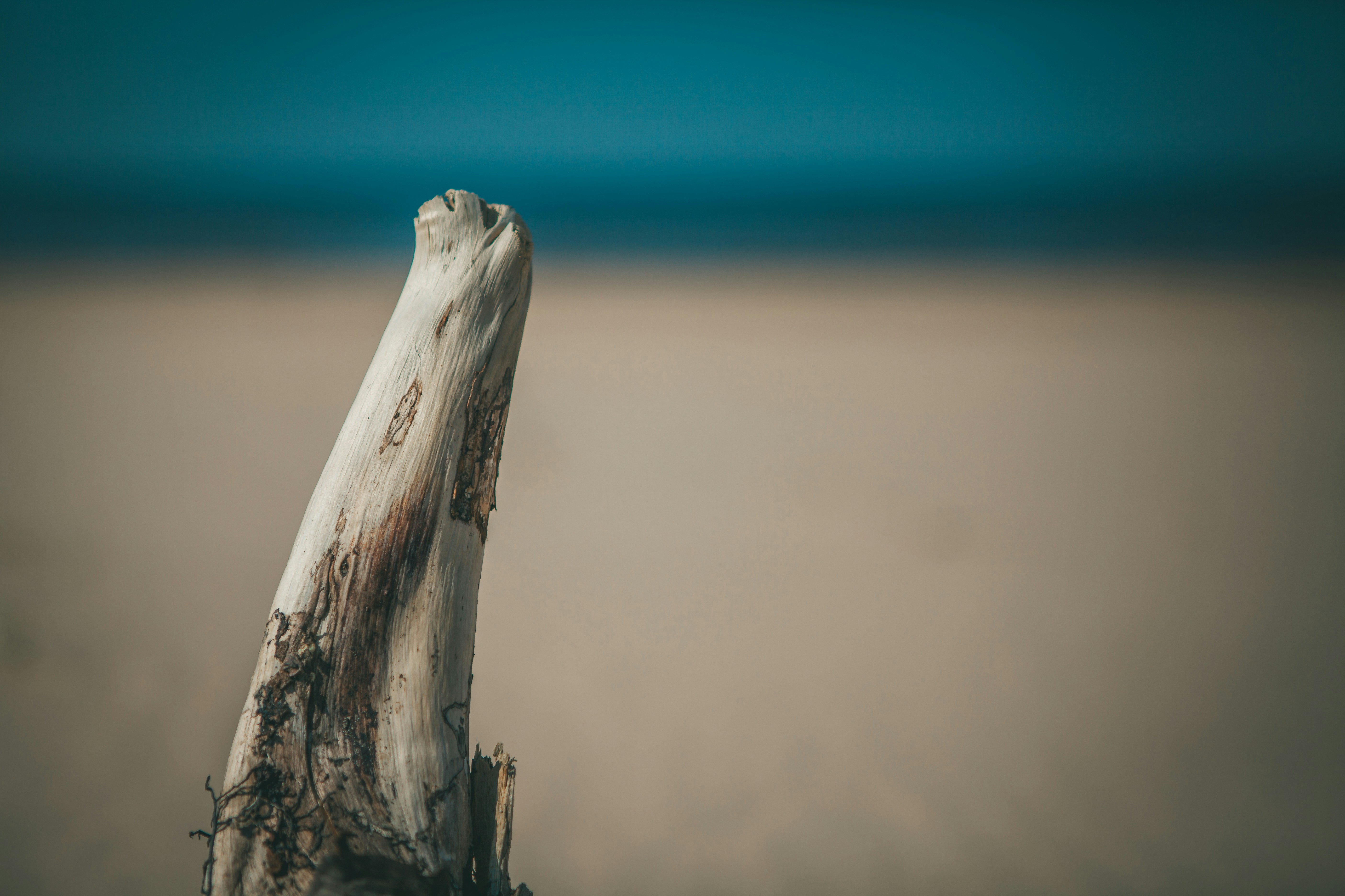 Photo by raimondklavins