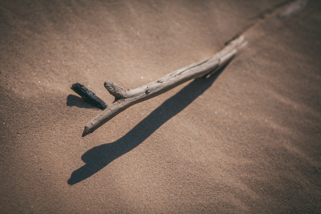 white wooden stick on brown sand