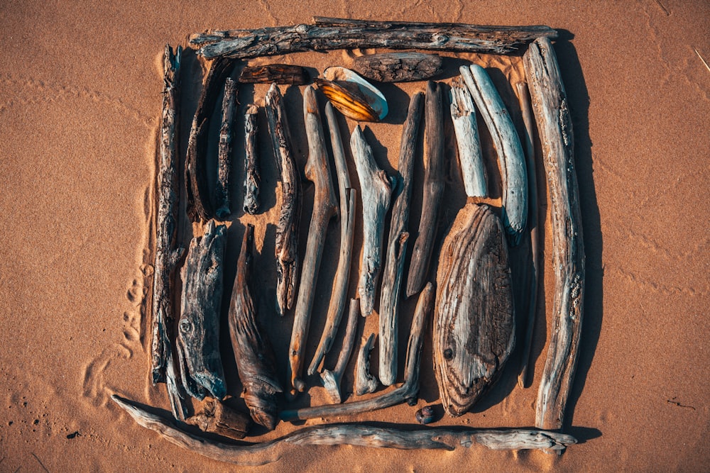 bois brun et noir sur sable brun