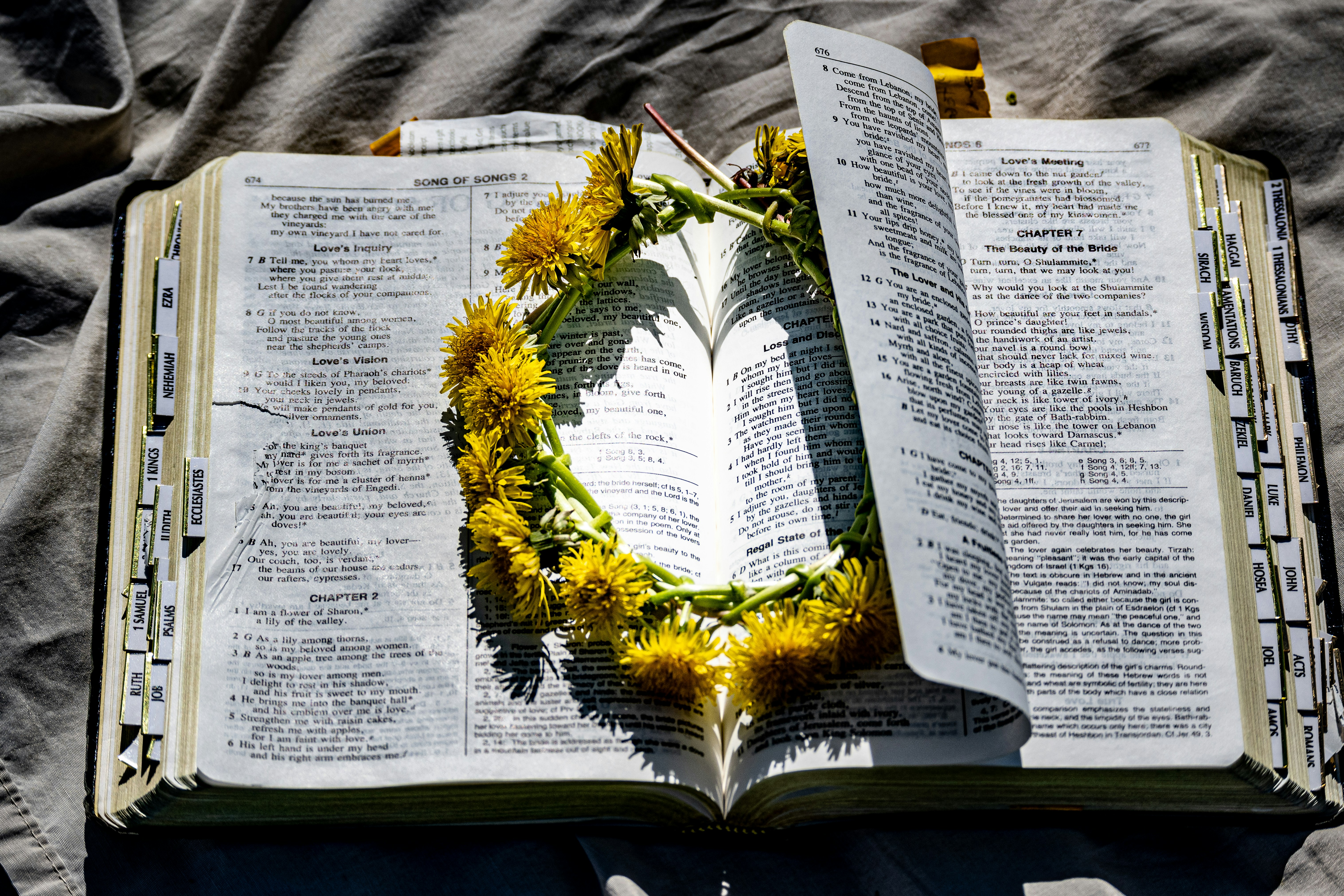 yellow and green plant on white paper