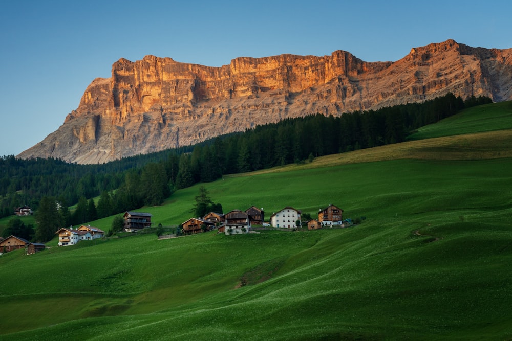 Grünes Grasfeld in der Nähe von Brown Mountain unter blauem Himmel tagsüber