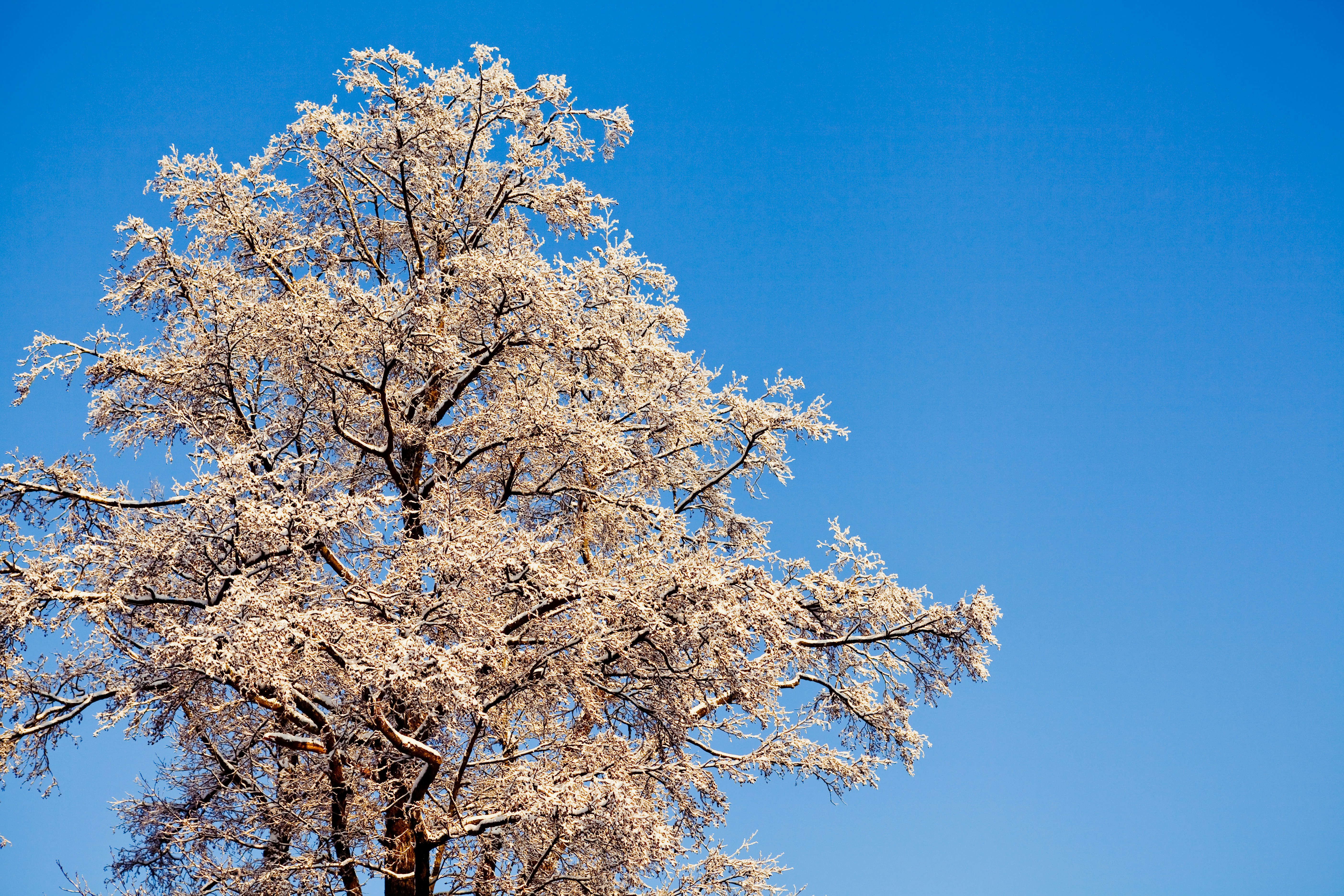 Photo by raimondklavins