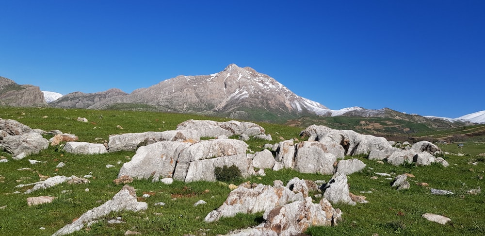 white and gray mountain under blue sky during daytime