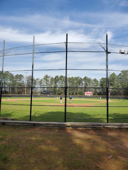 Cricket players practicing on a turf net with coaches guiding them during a sunny day.