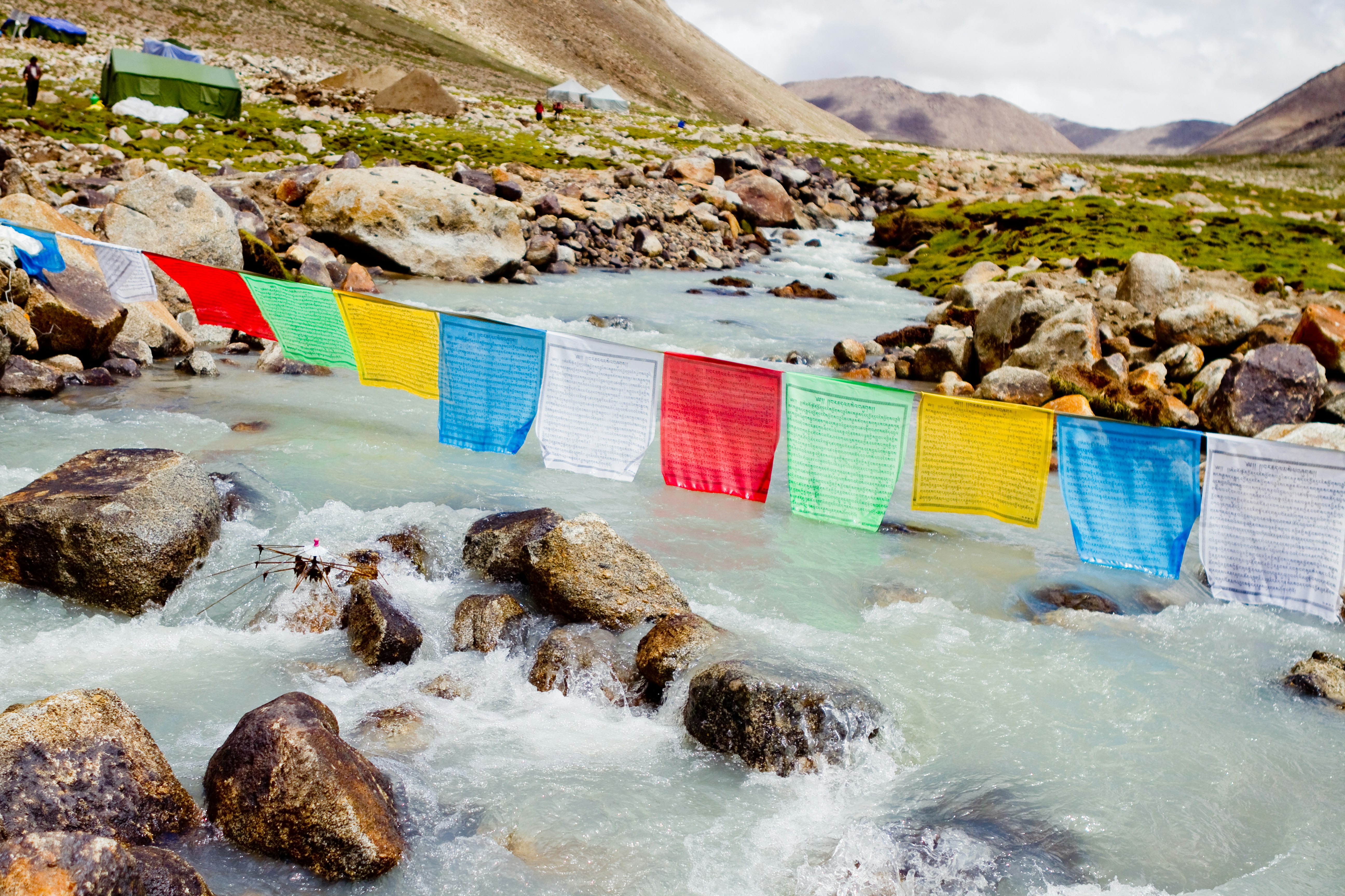 people on beach shore during daytime