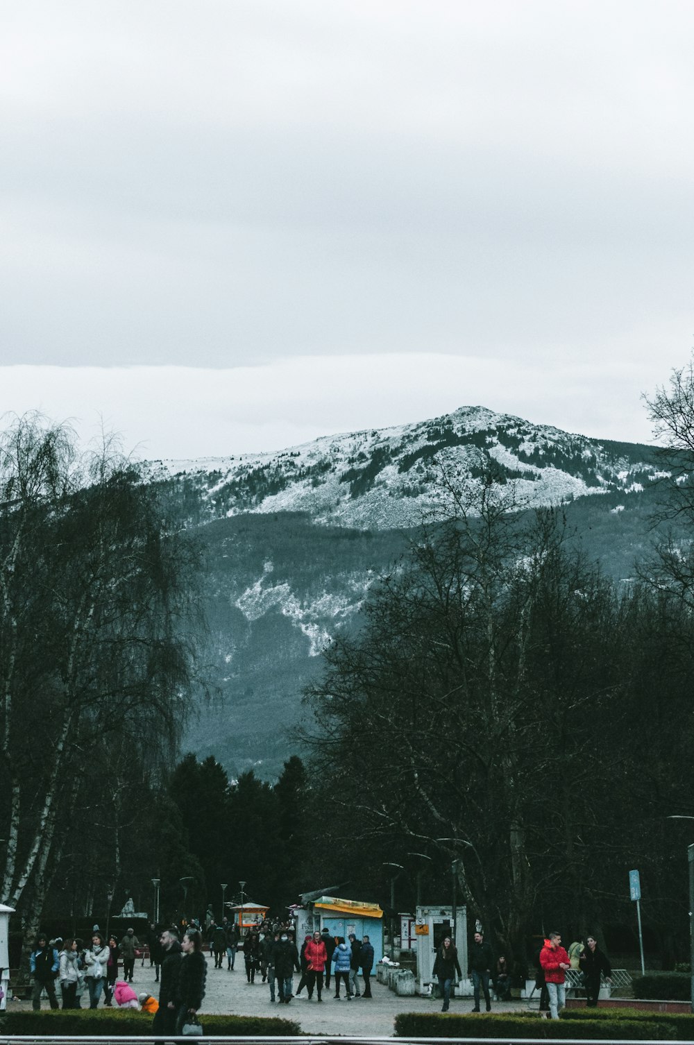 green trees near mountain during daytime