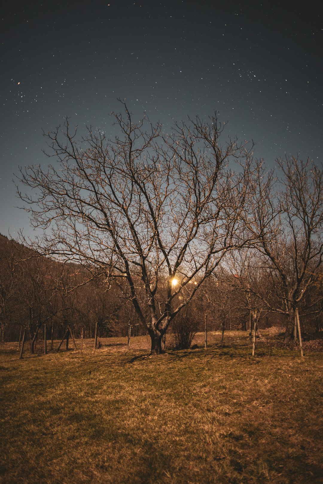 Ecoregion photo spot Terzyisko Bulgaria