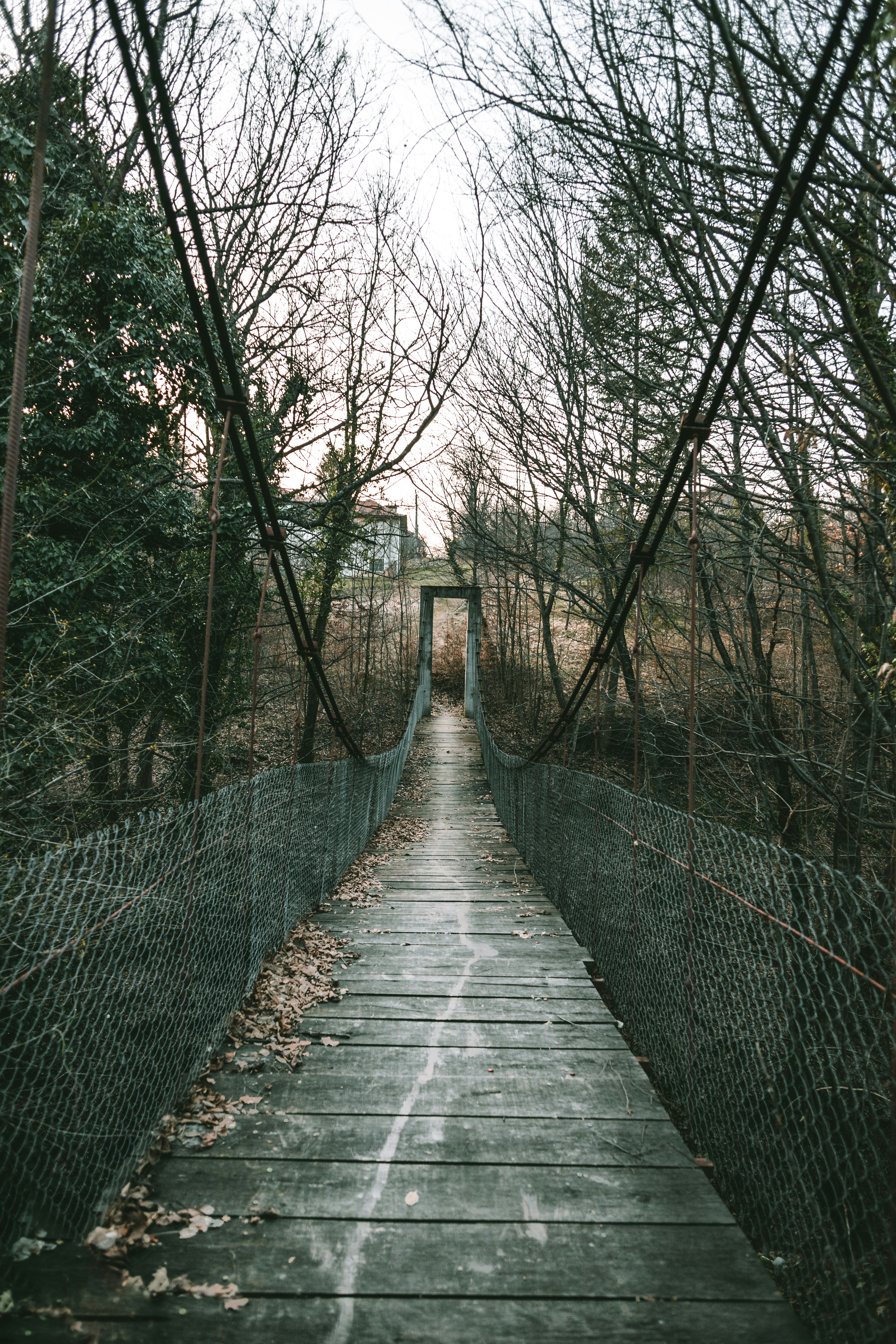 Photo by thewanderinggenk