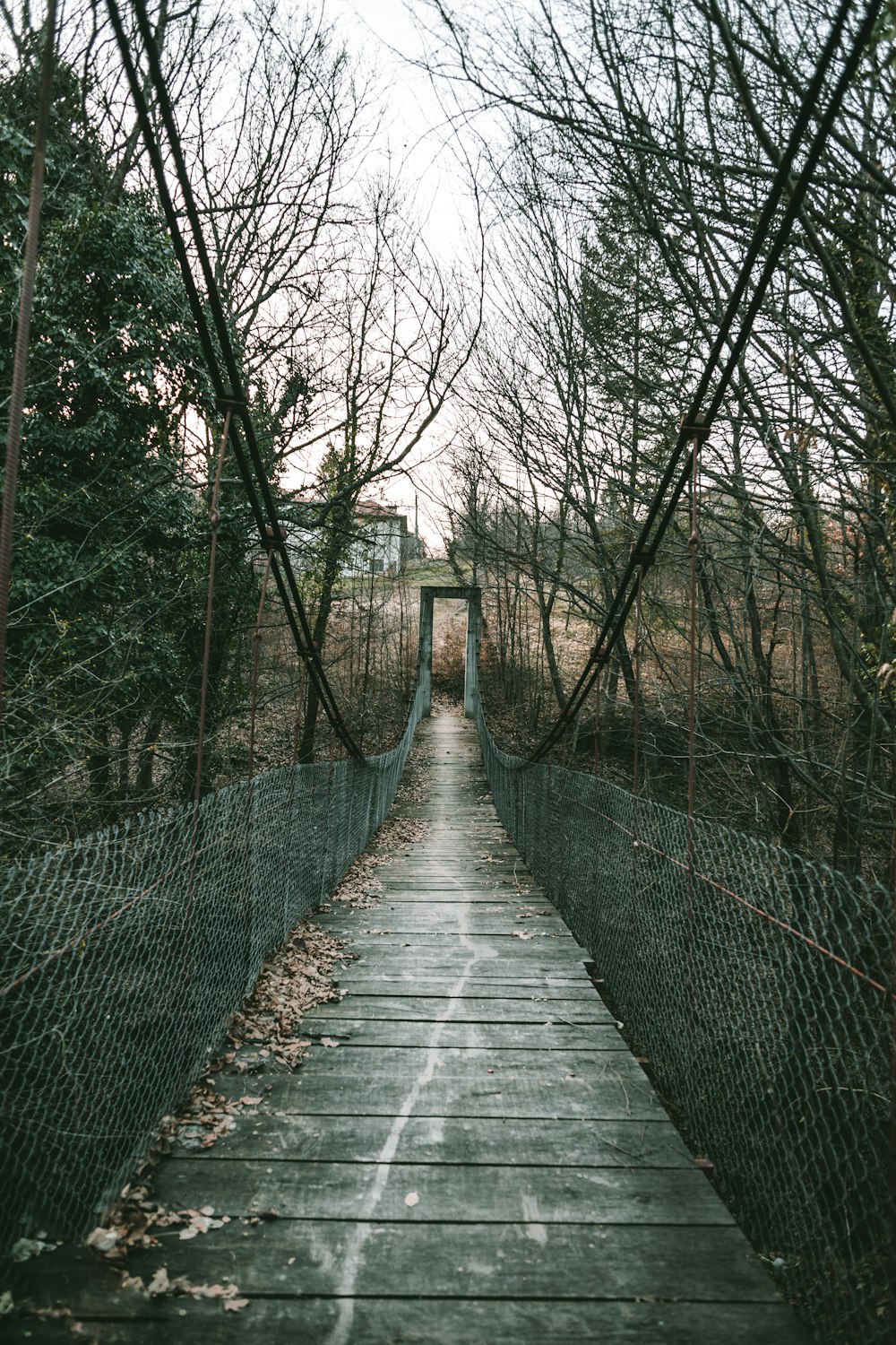 brown wooden bridge in between bare trees