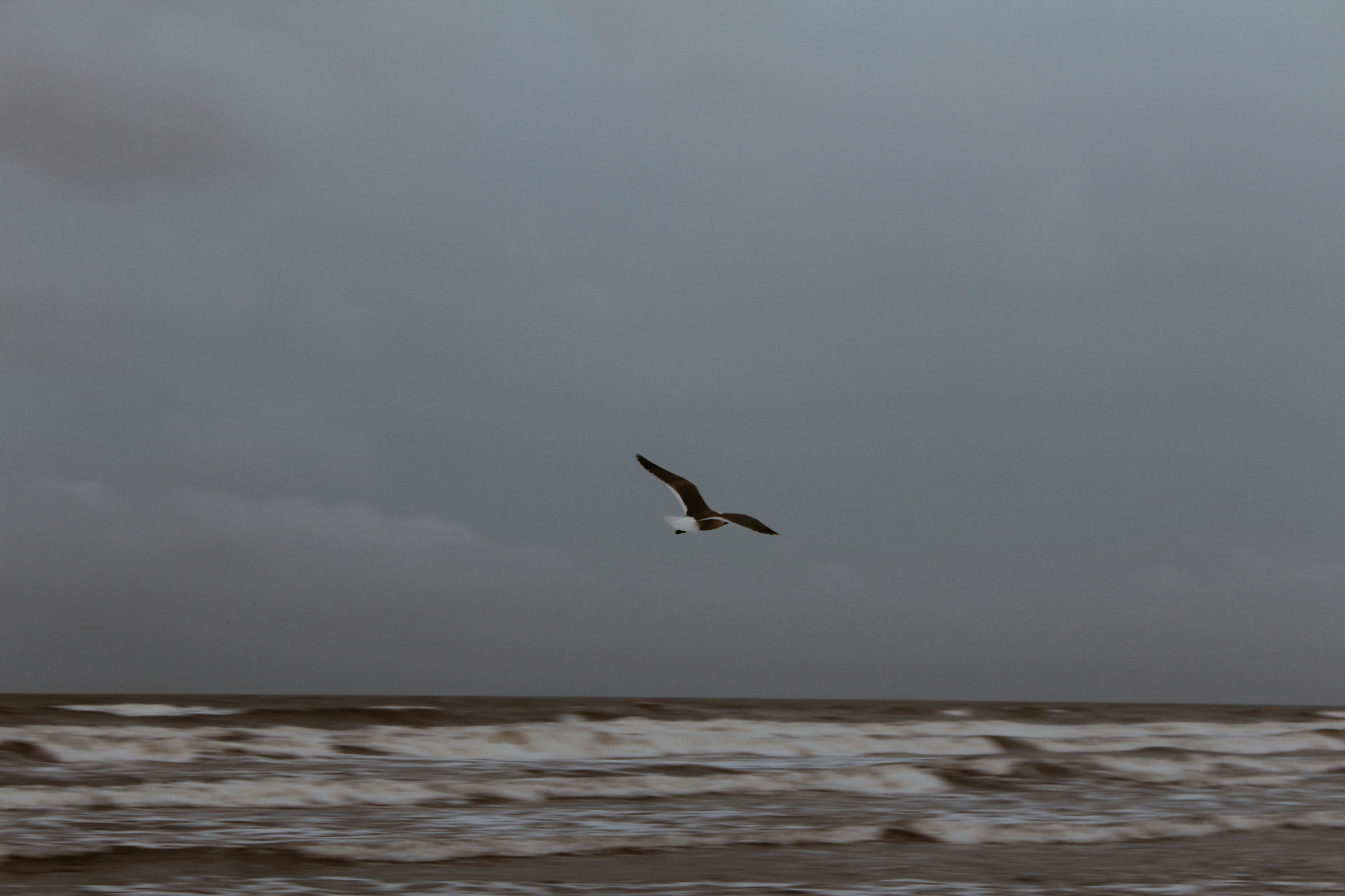 Photo by cryingmilkshake