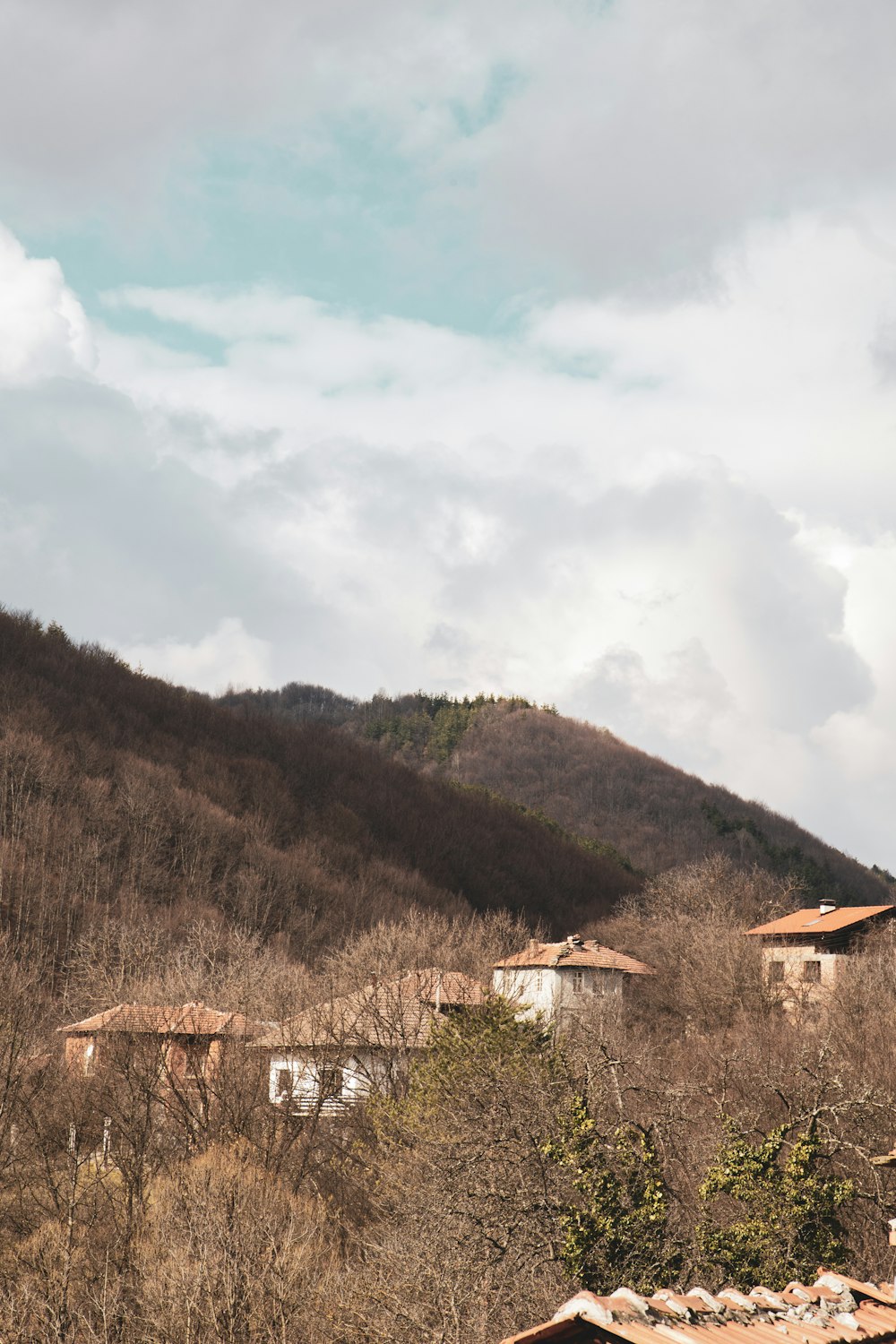 white and brown house on green grass field near mountain under white clouds during daytime