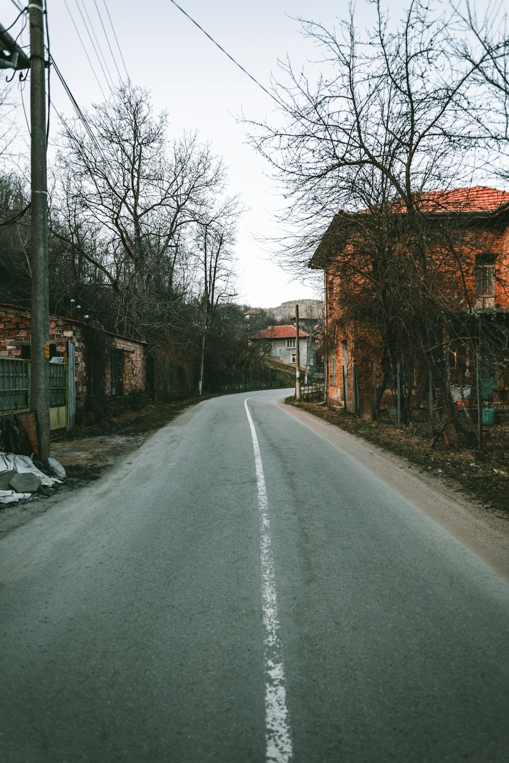 gray asphalt road between bare trees during daytime
