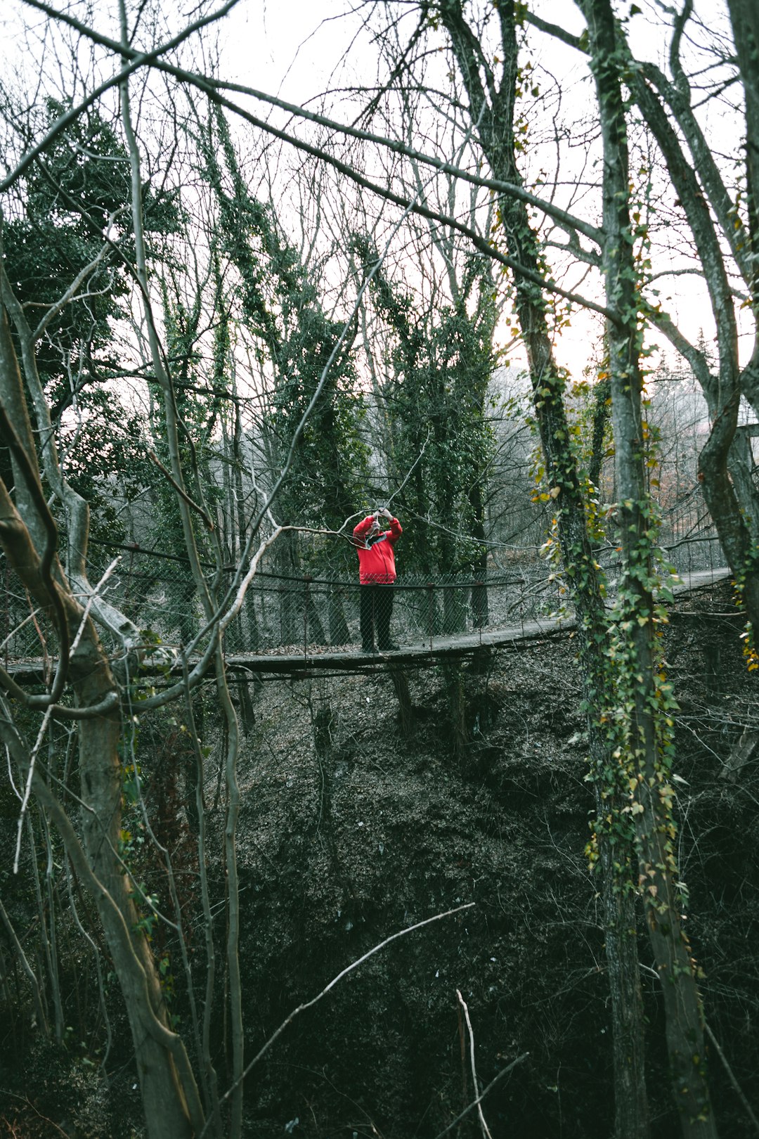 Forest photo spot Terzyisko Bulgaria