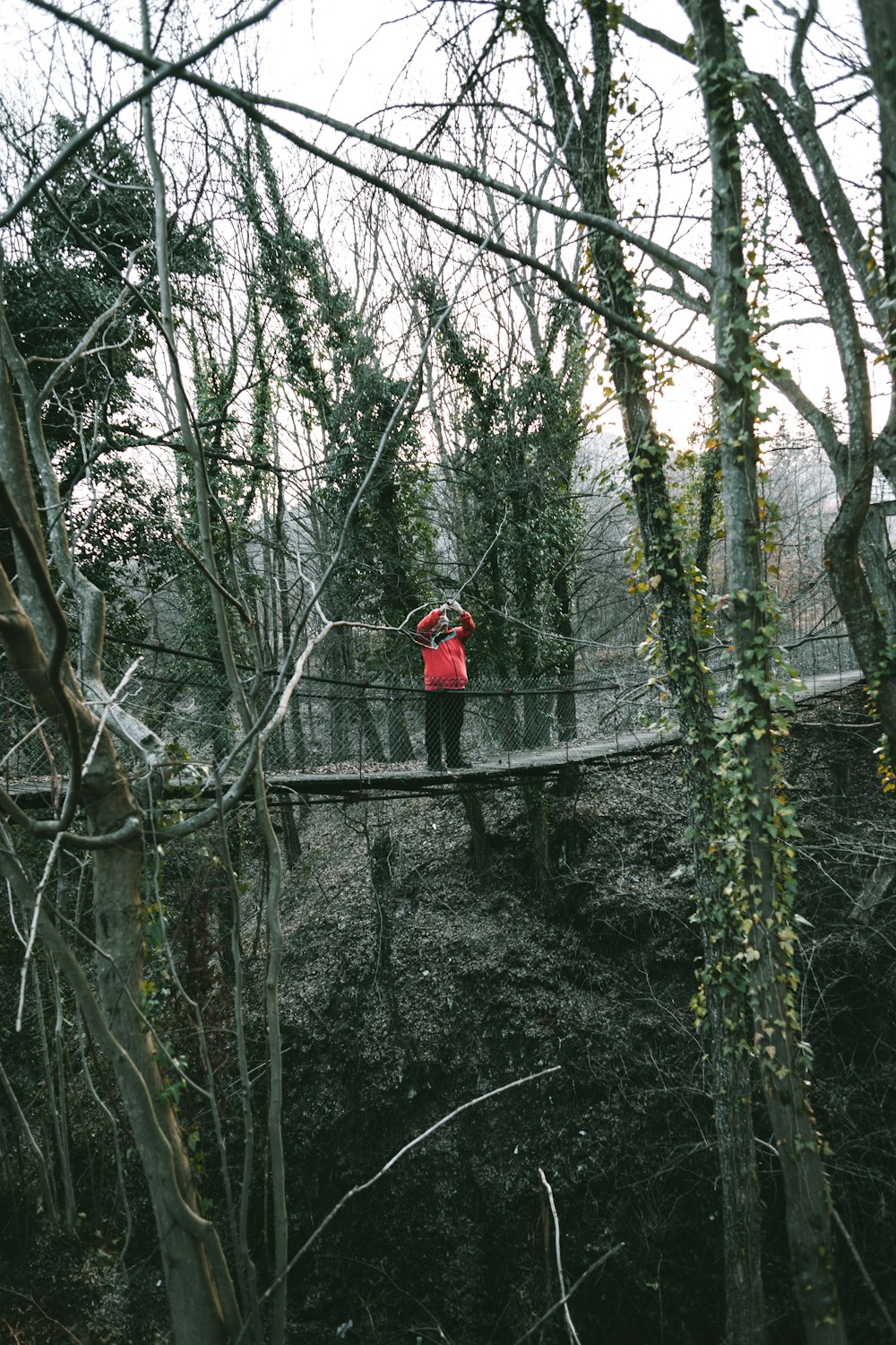 person in red jacket standing on black metal bridge surrounded by trees during daytime