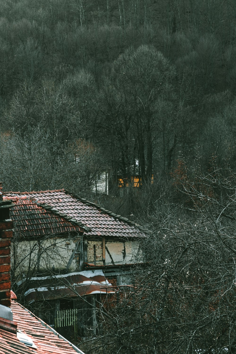 brown and black house near trees during daytime