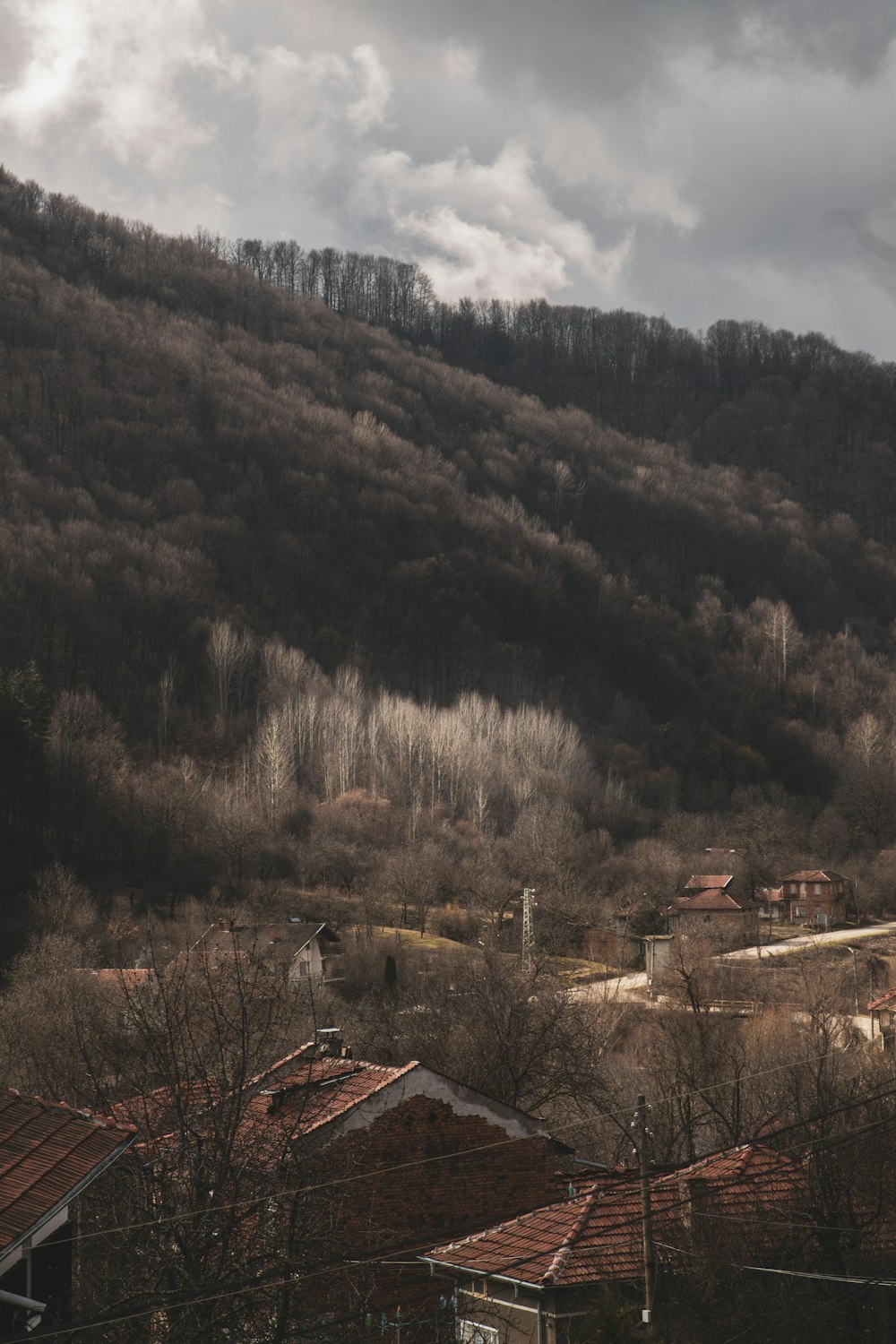 green trees on mountain during daytime