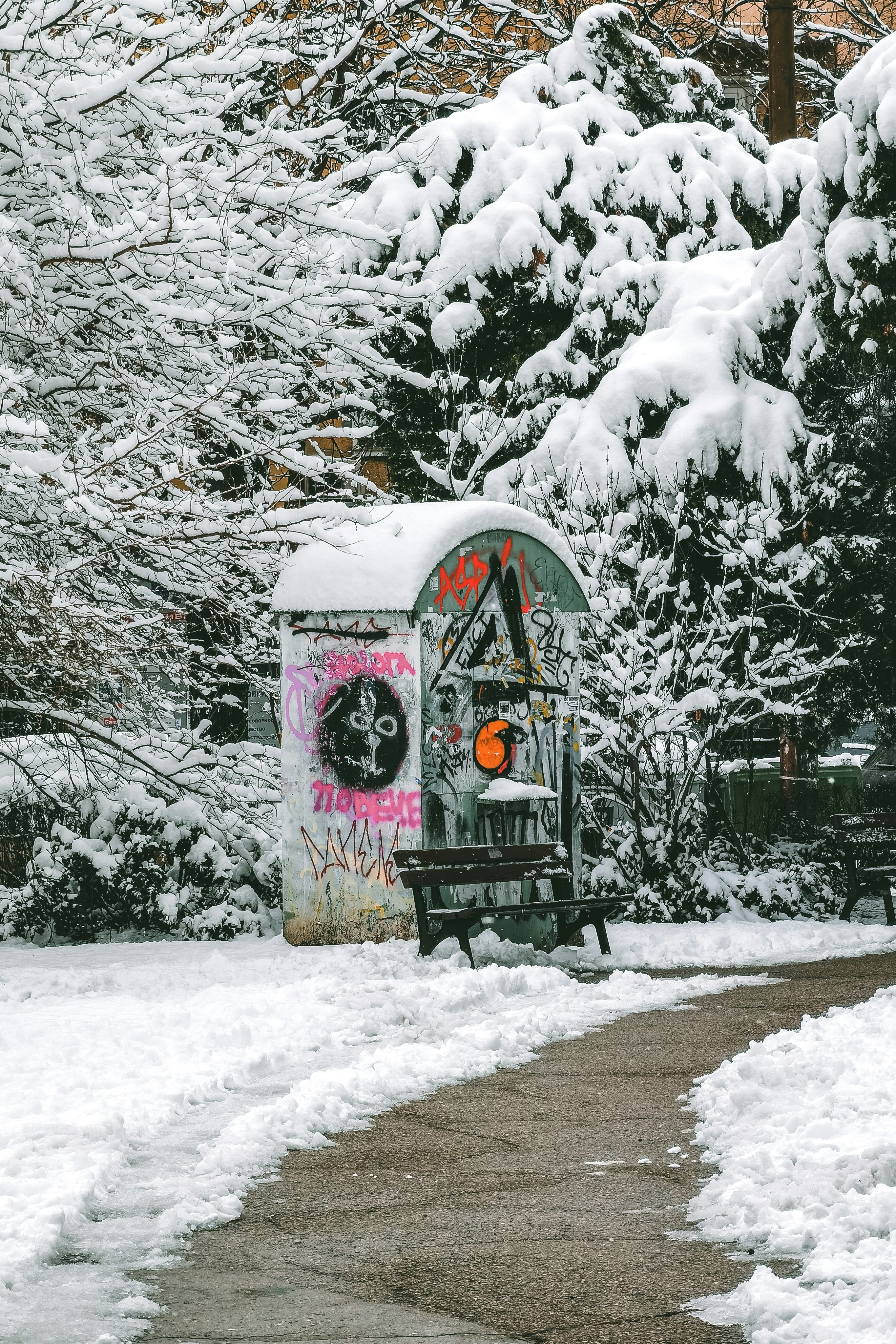 Photo by thewanderinggenk