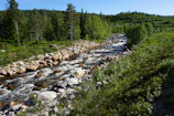 A catchment system surrounded by lush greenery, freshly cleaned and free of debris.