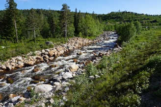 A flowing natural spring surrounded by lush green vegetation under a clear sky.