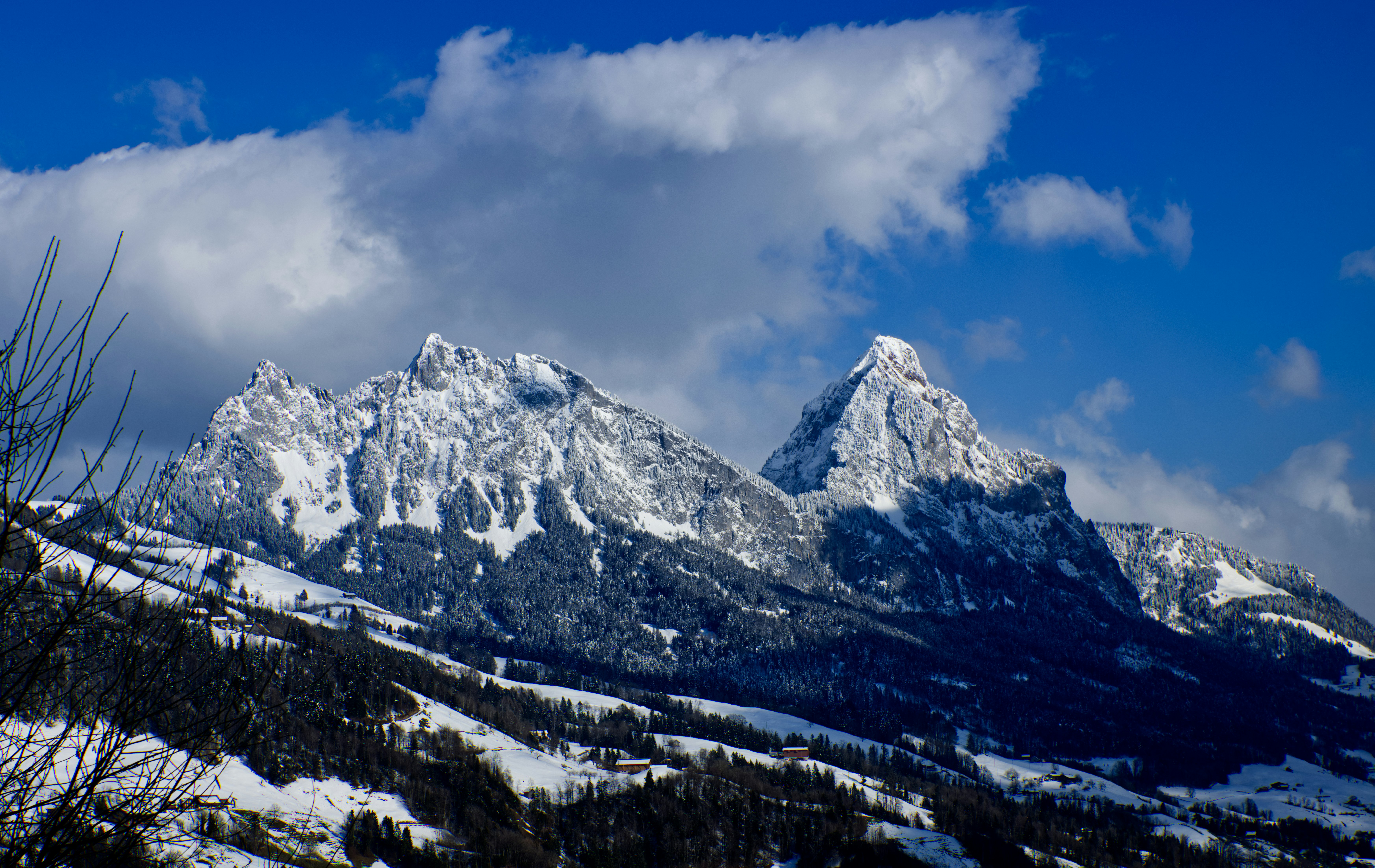 Photo by photasticlab