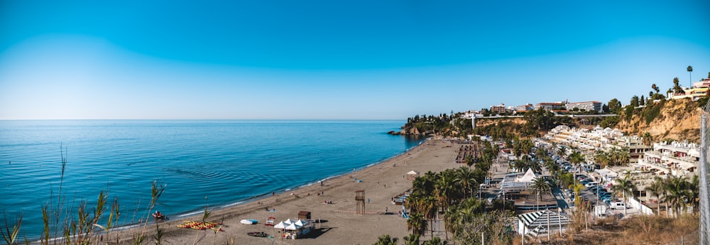 people on beach during daytime