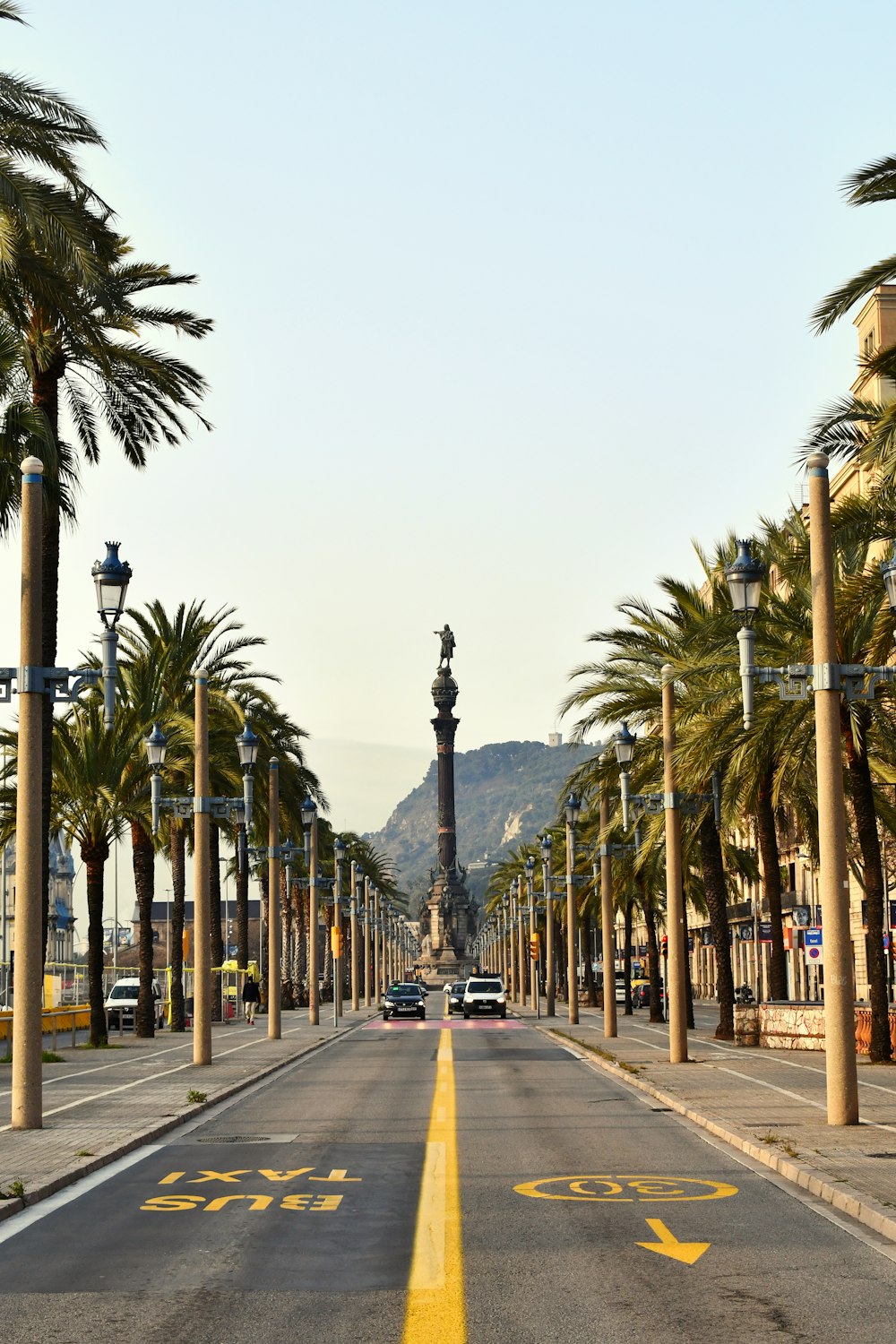 black car on road between palm trees