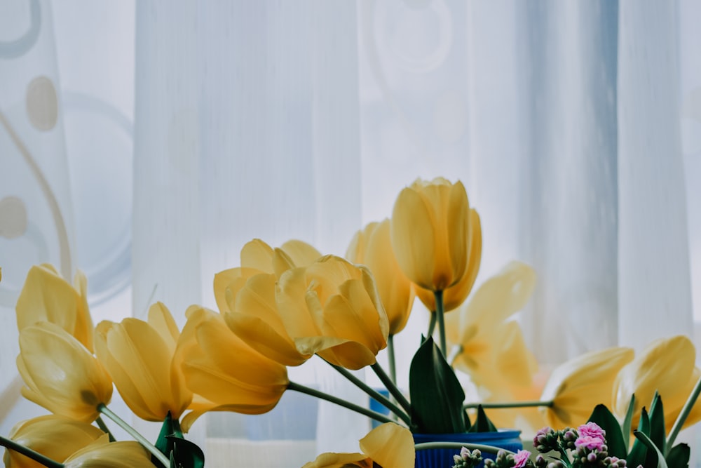 yellow tulips in blue ceramic vase