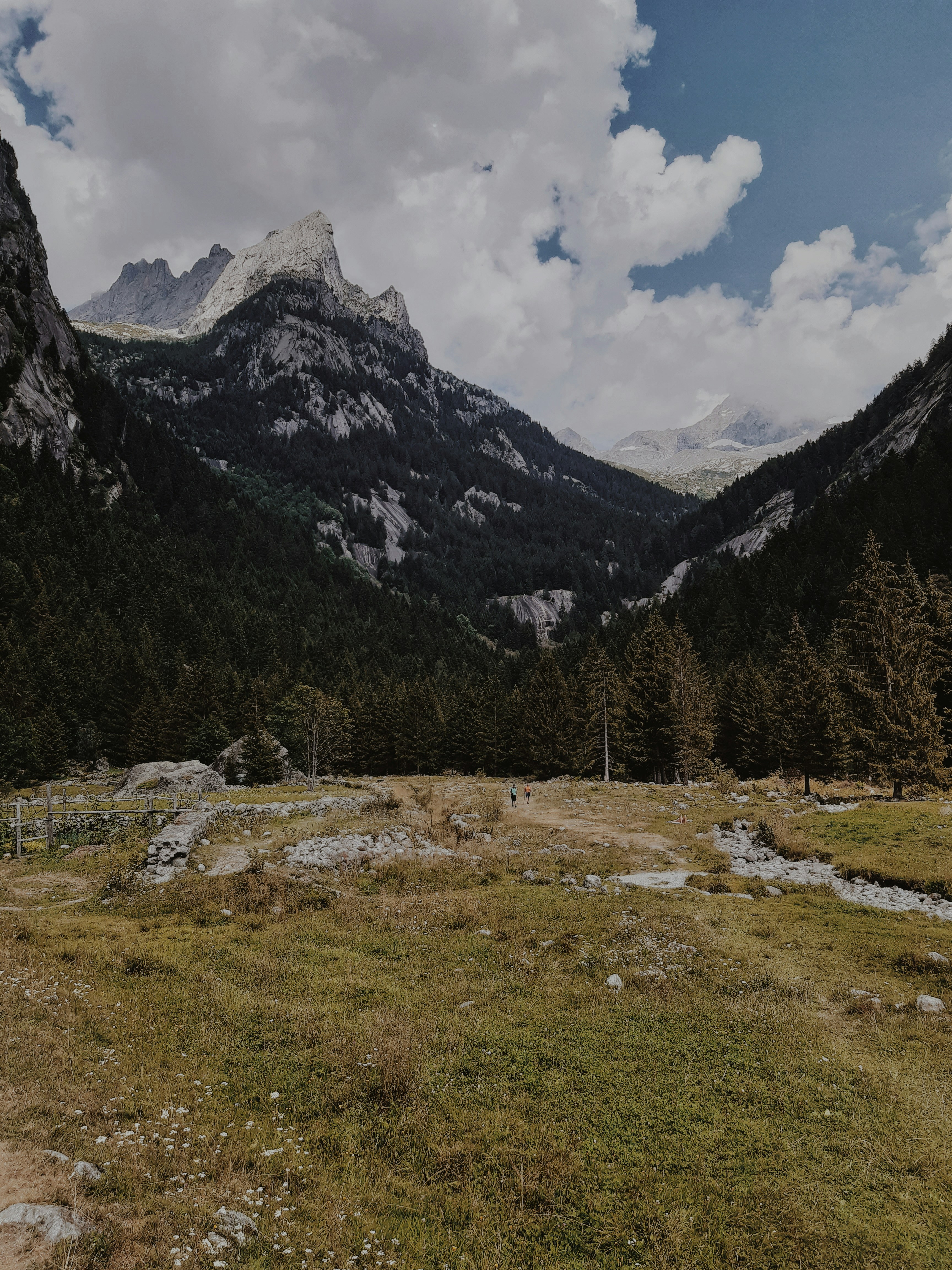 green grass field near trees and mountains under white clouds and blue sky during daytime