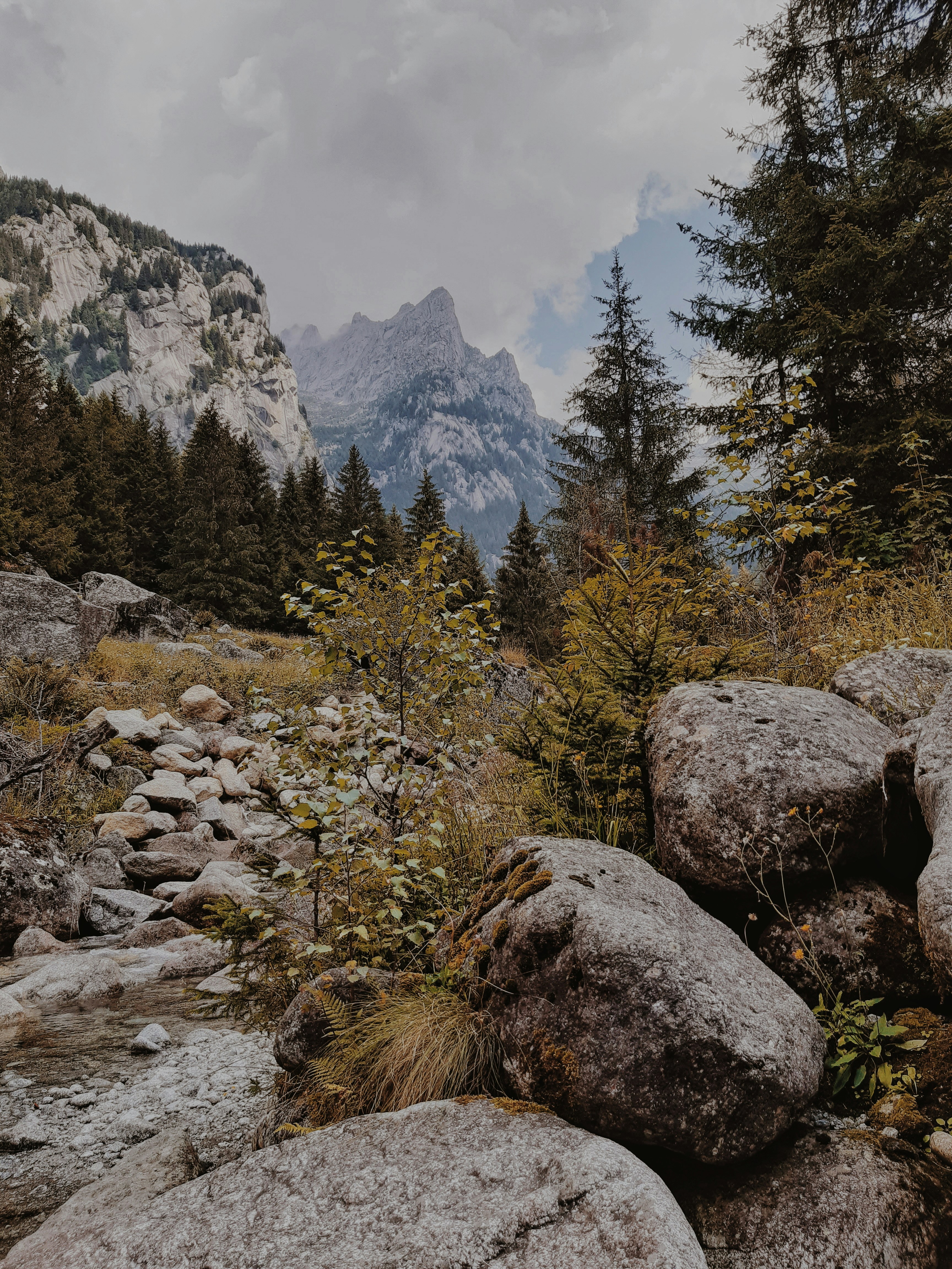 green trees near rocky mountain during daytime