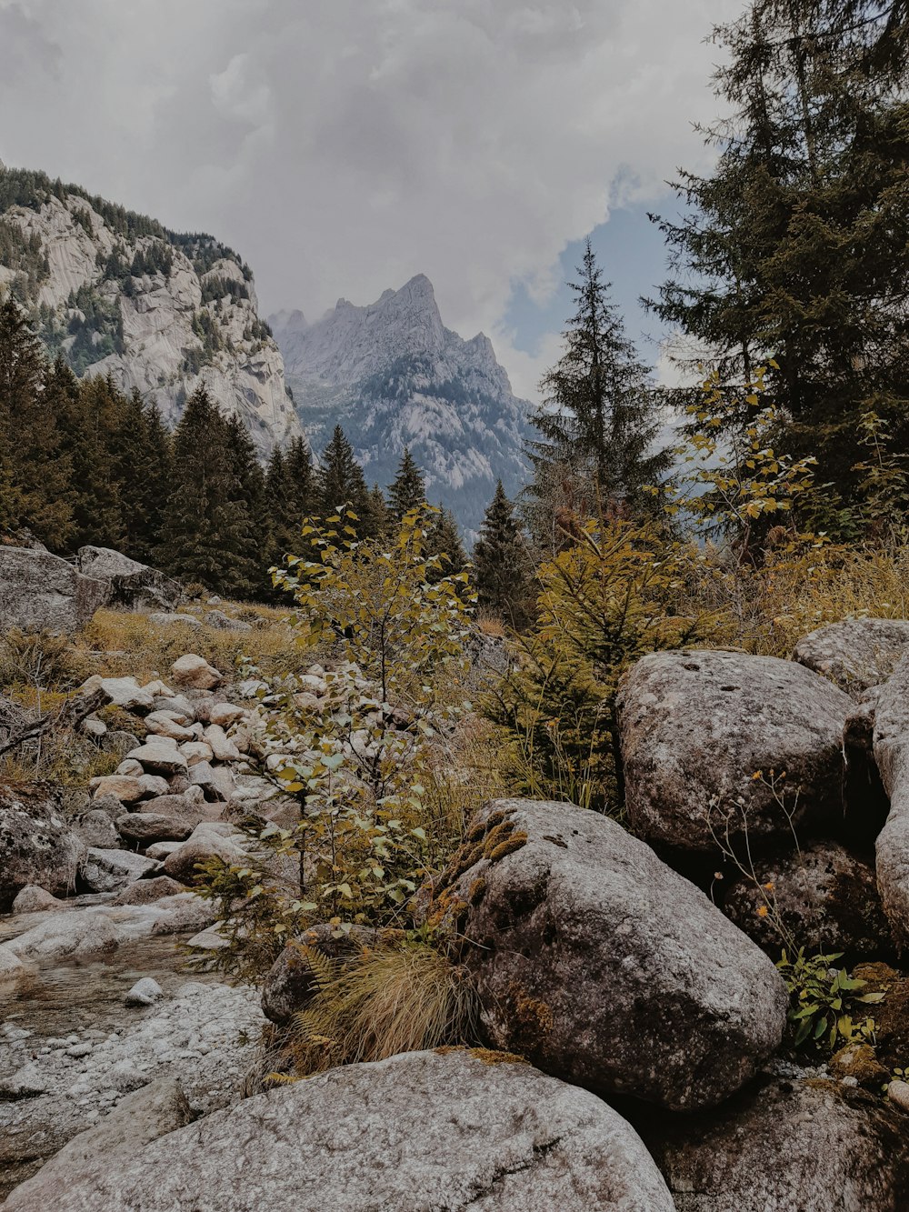 green trees near rocky mountain during daytime