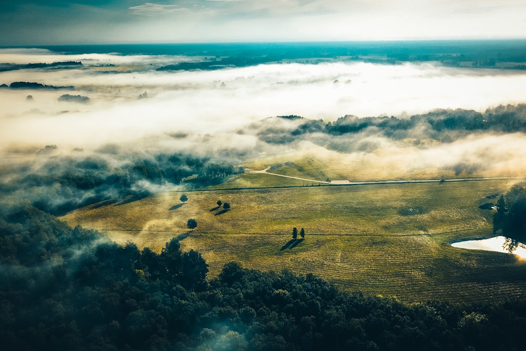 birds eye view of green trees and clouds