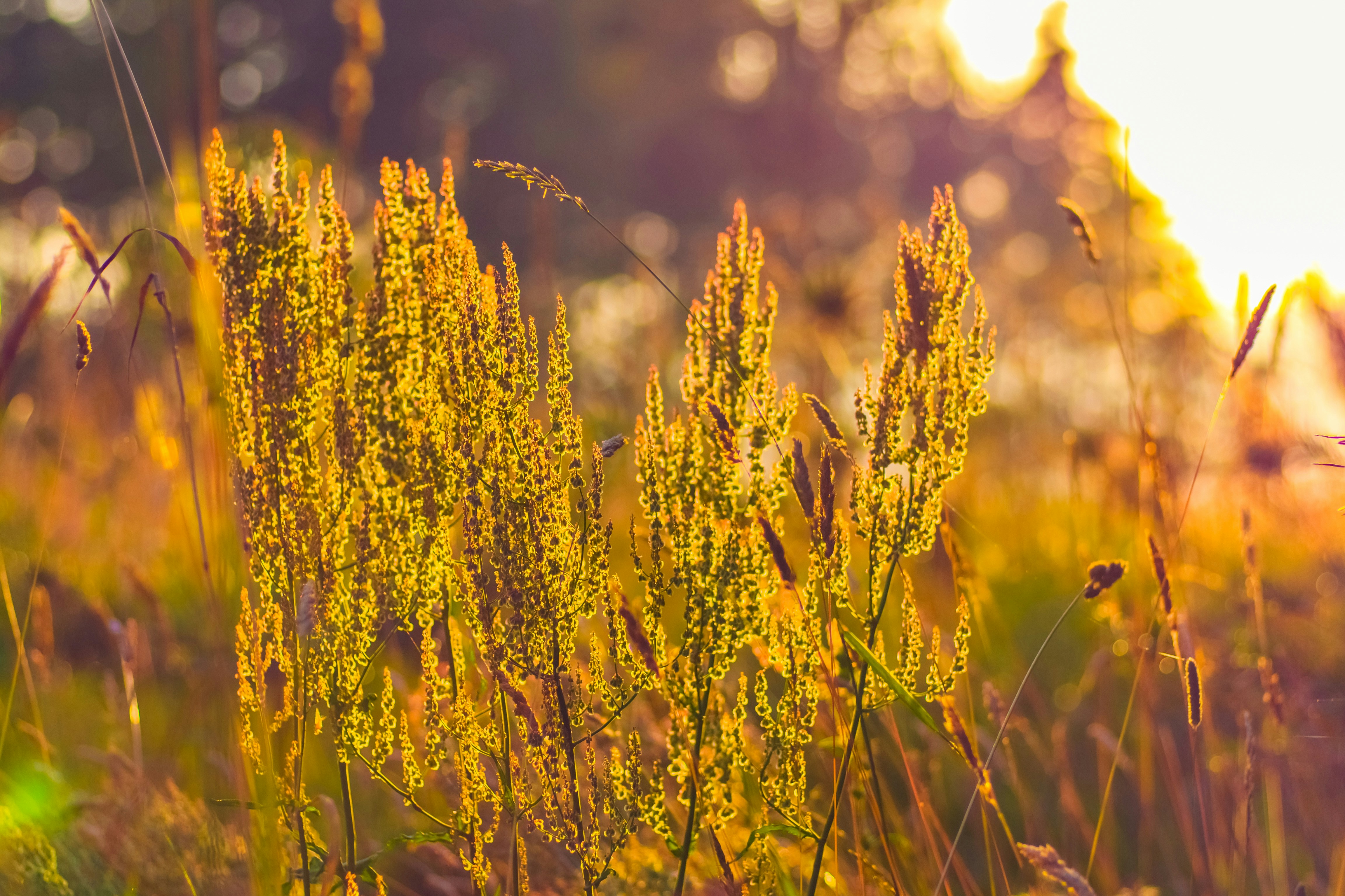 Photo by raimondklavins