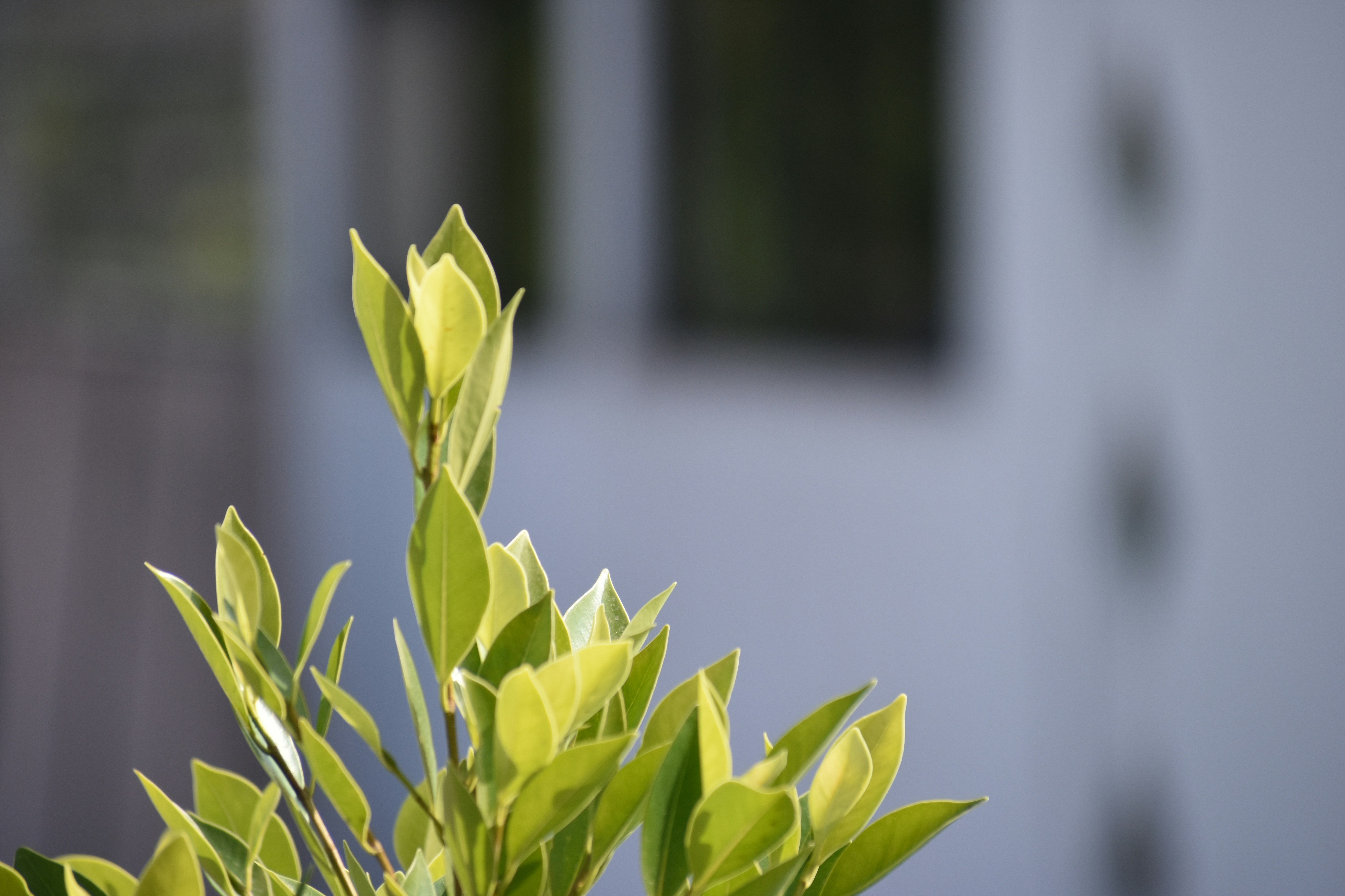 Photo by cristian12345