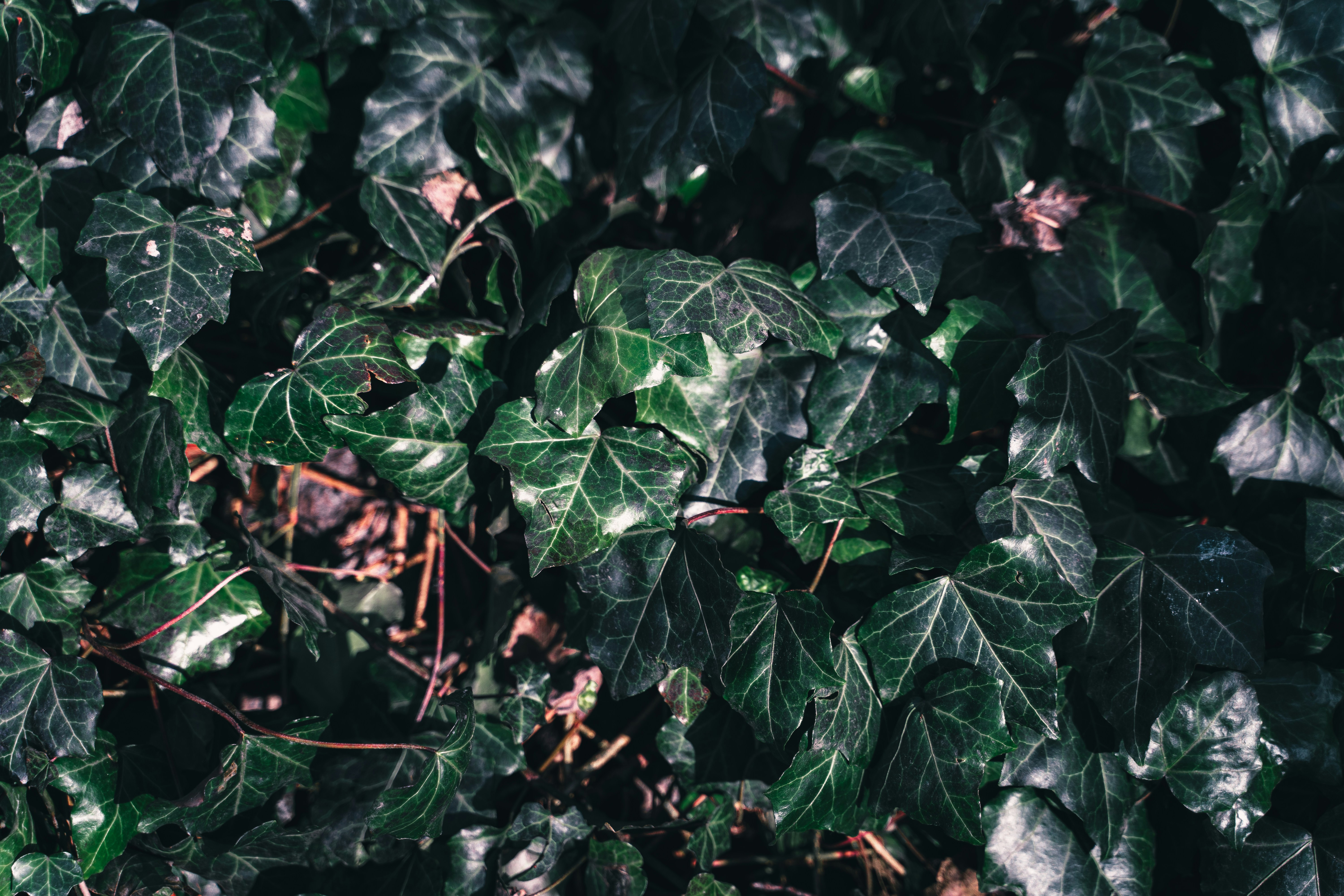 Photo by maksym_tymchyk