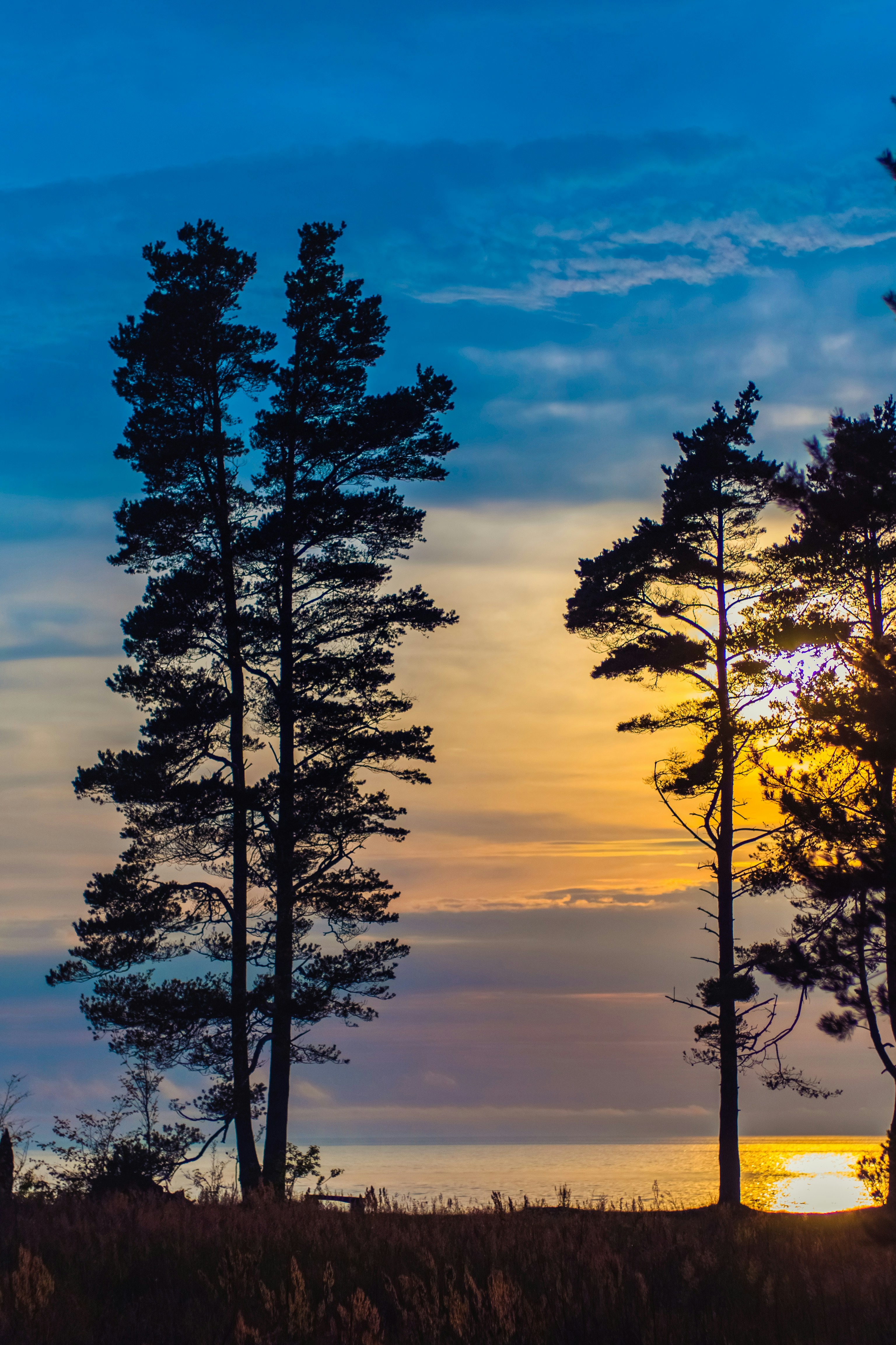 Photo by raimondklavins