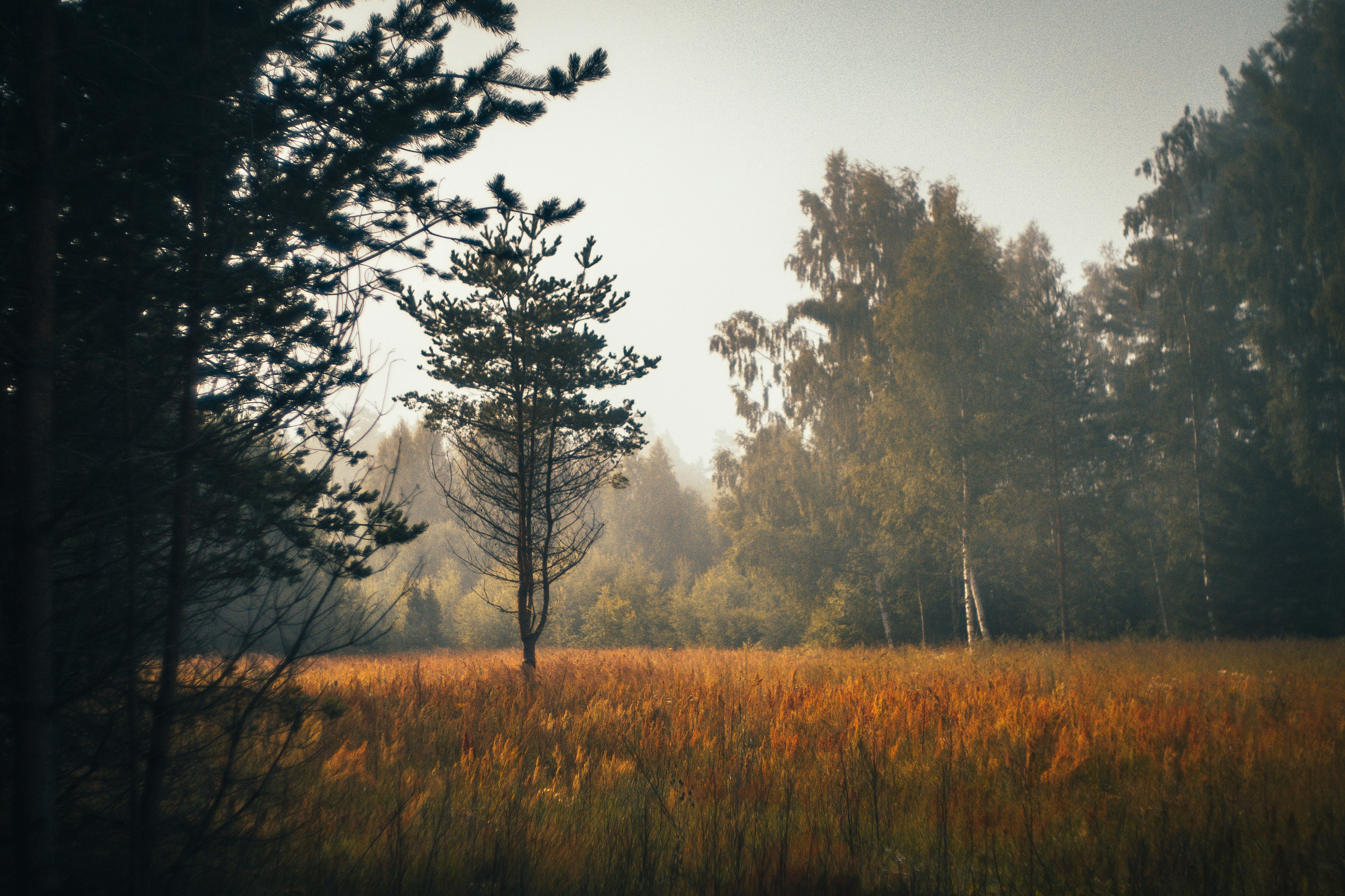 Photo by raimondklavins