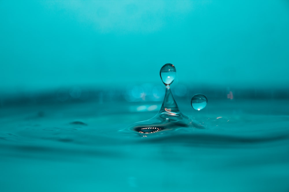 클로즈업 사진의 물방울