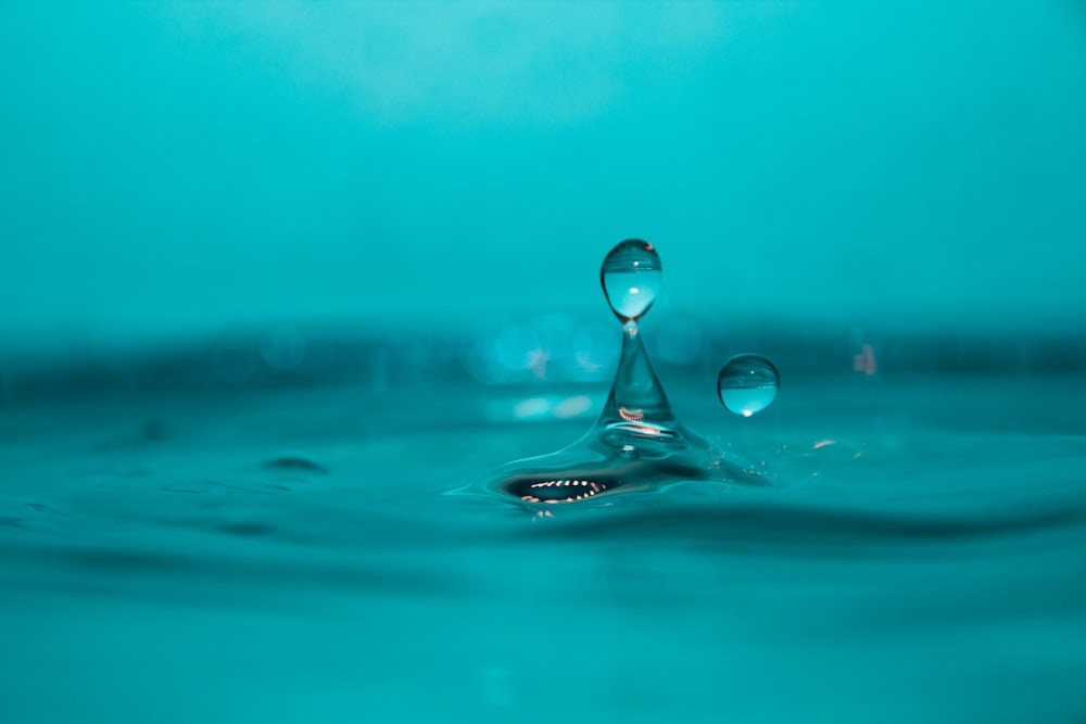 Gota de agua en la fotografía de primer plano