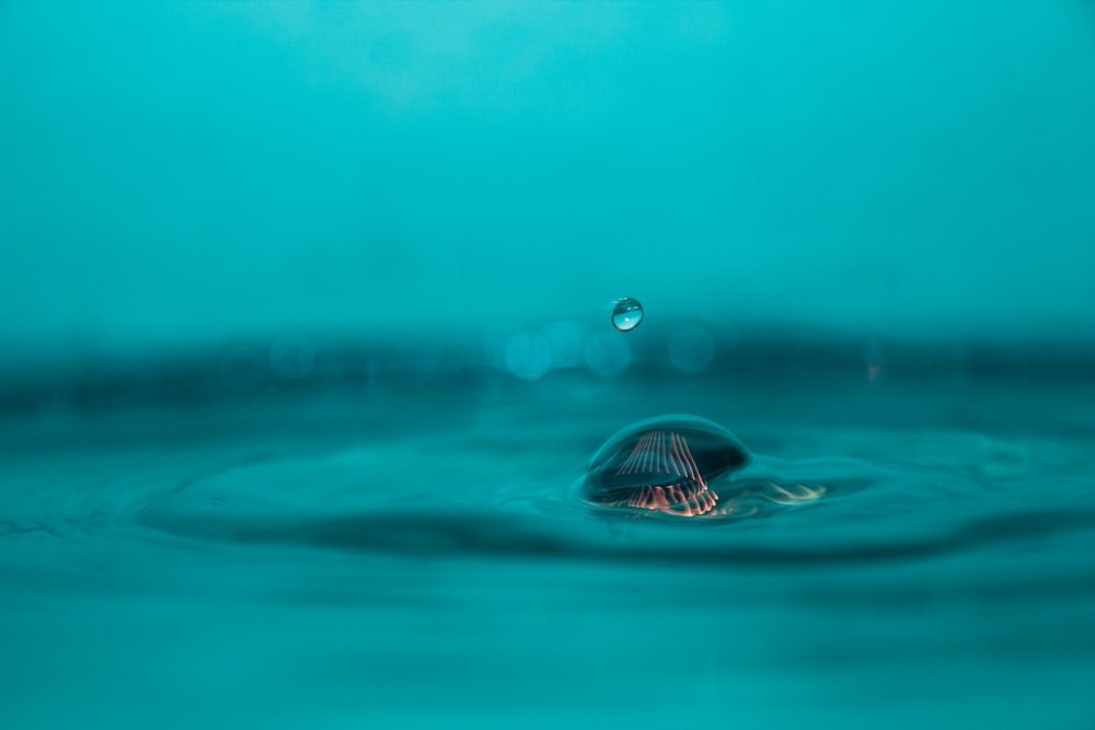 water drop on body of water