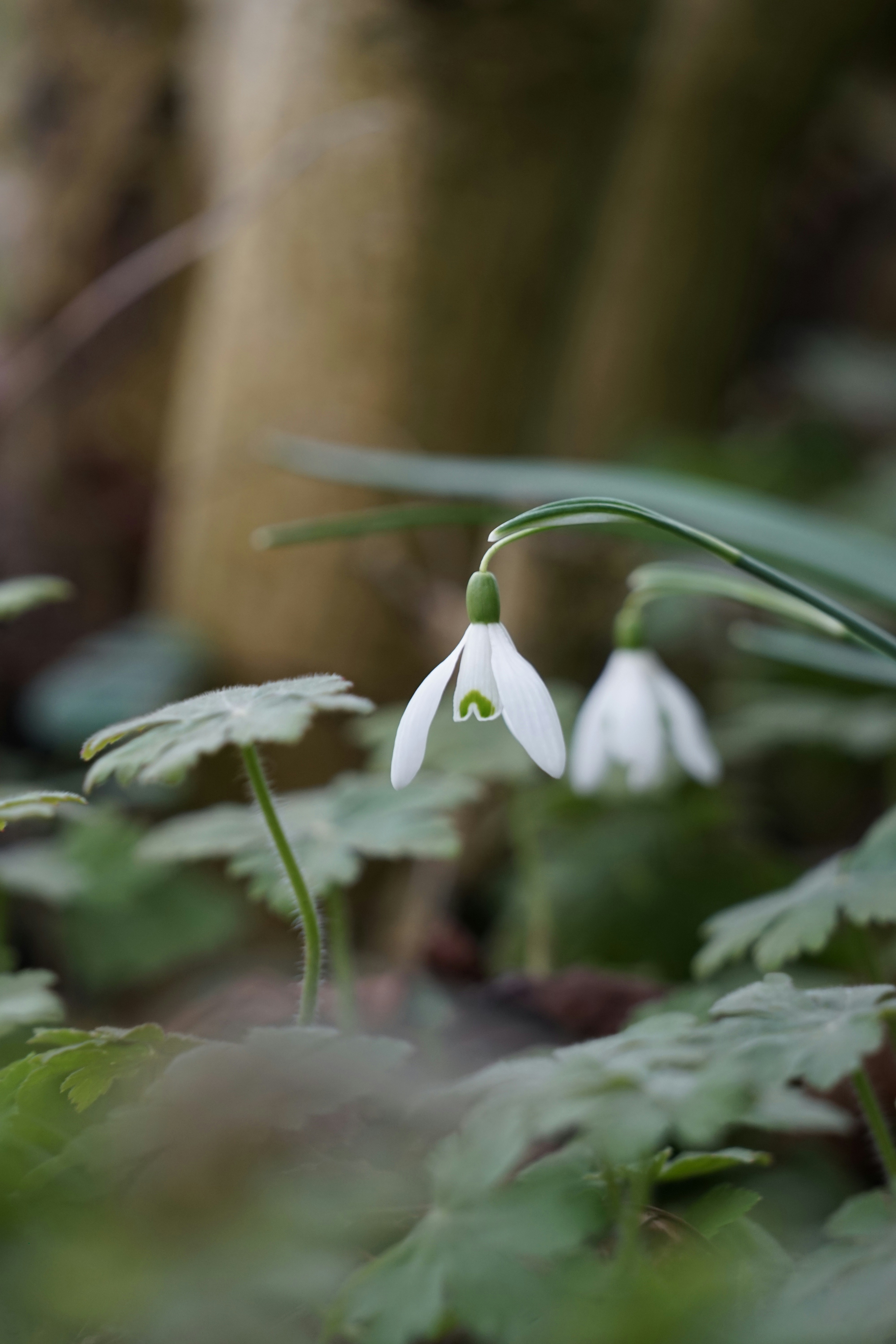 Photo by luuk_vdn