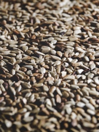 brown and black stones on ground