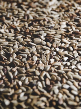 brown and black stones on ground